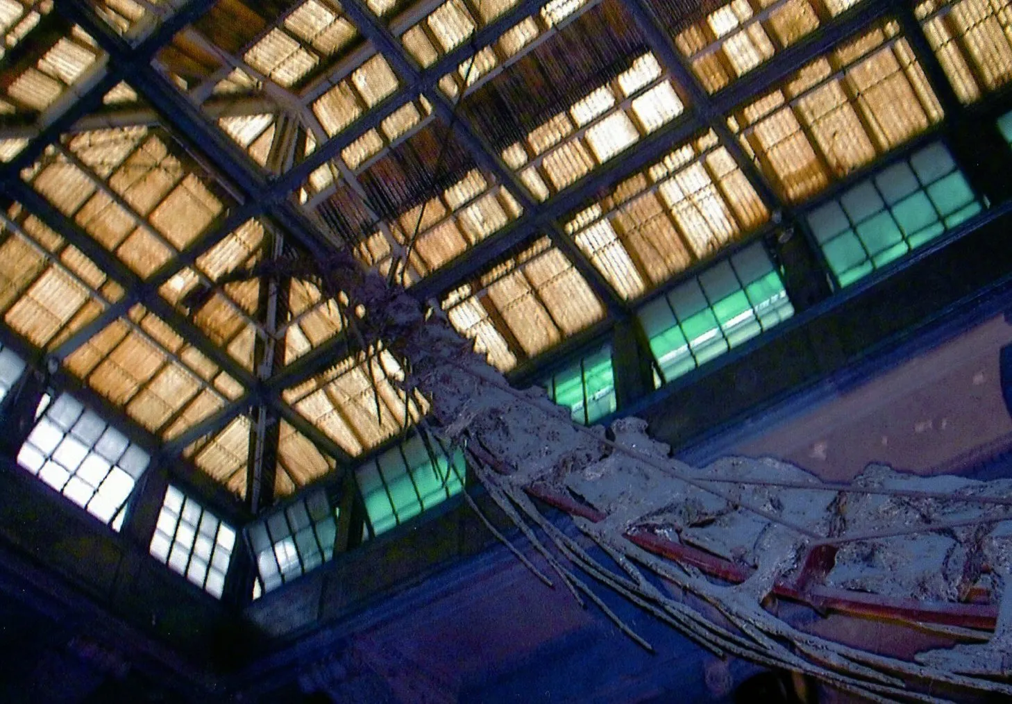 中国旅行記＠上海市内観光＆上海自然博物館編。上海自然博物館の首長竜の化石