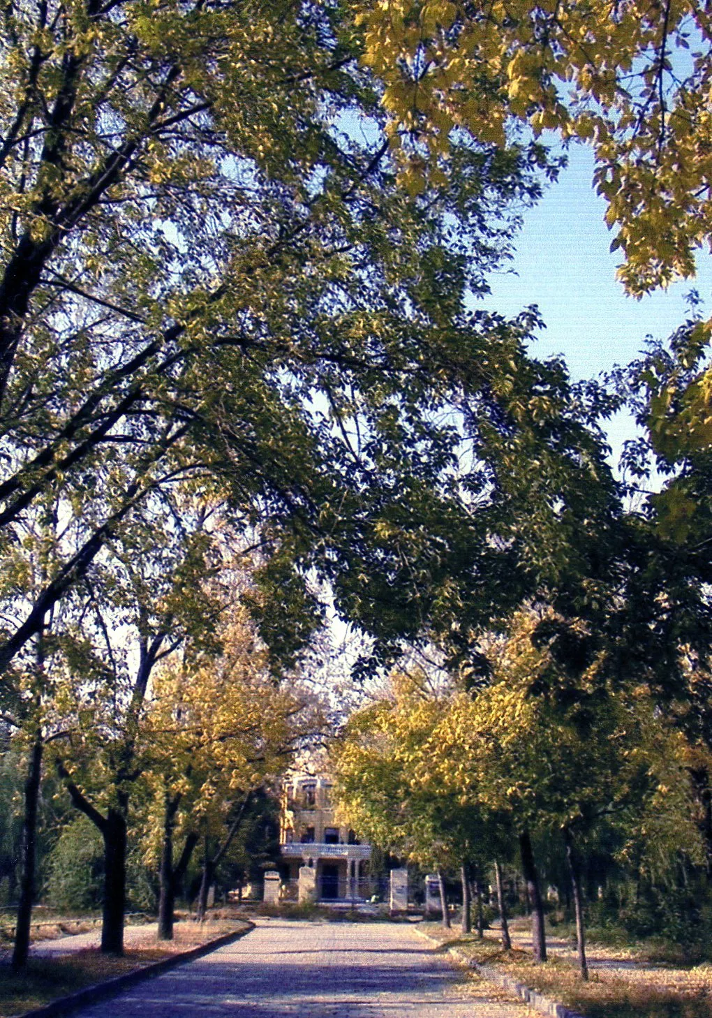 中国黒竜江省哈爾浜(ハルビン)市の太陽島の石畳とロシア建築