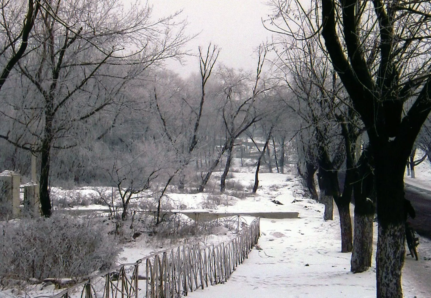冬の哈爾浜 ハルビン市。寒々とした冬の哈爾浜市の松花江の太陽島