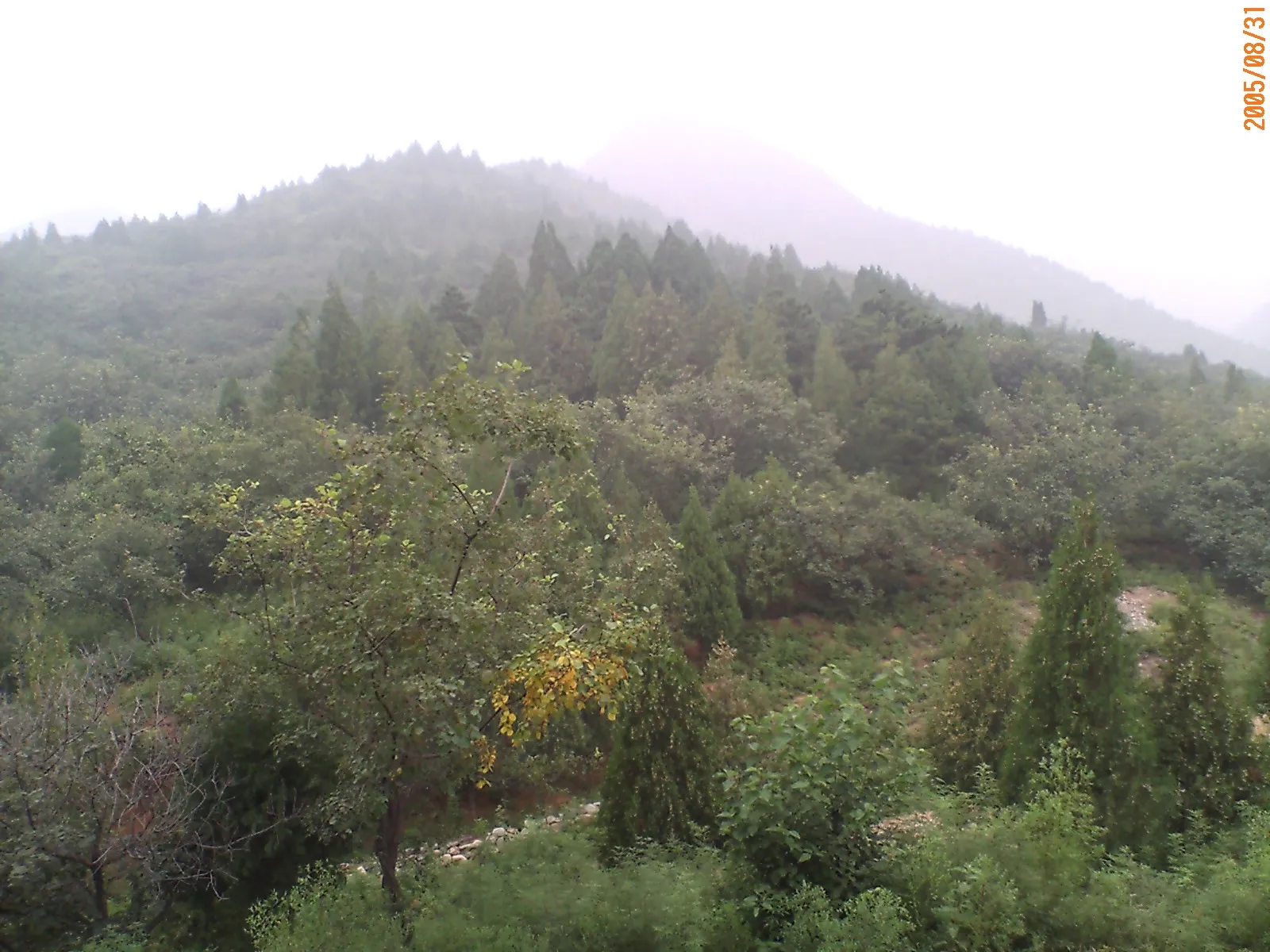 定陵の明楼からの風景