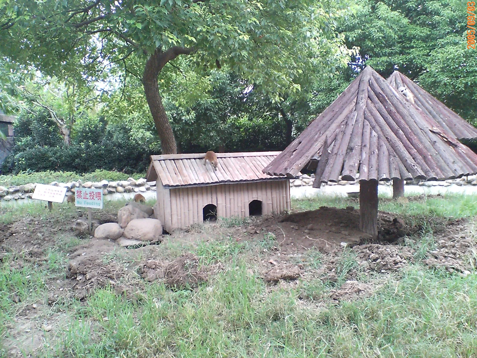 上海野生動物園の風景
