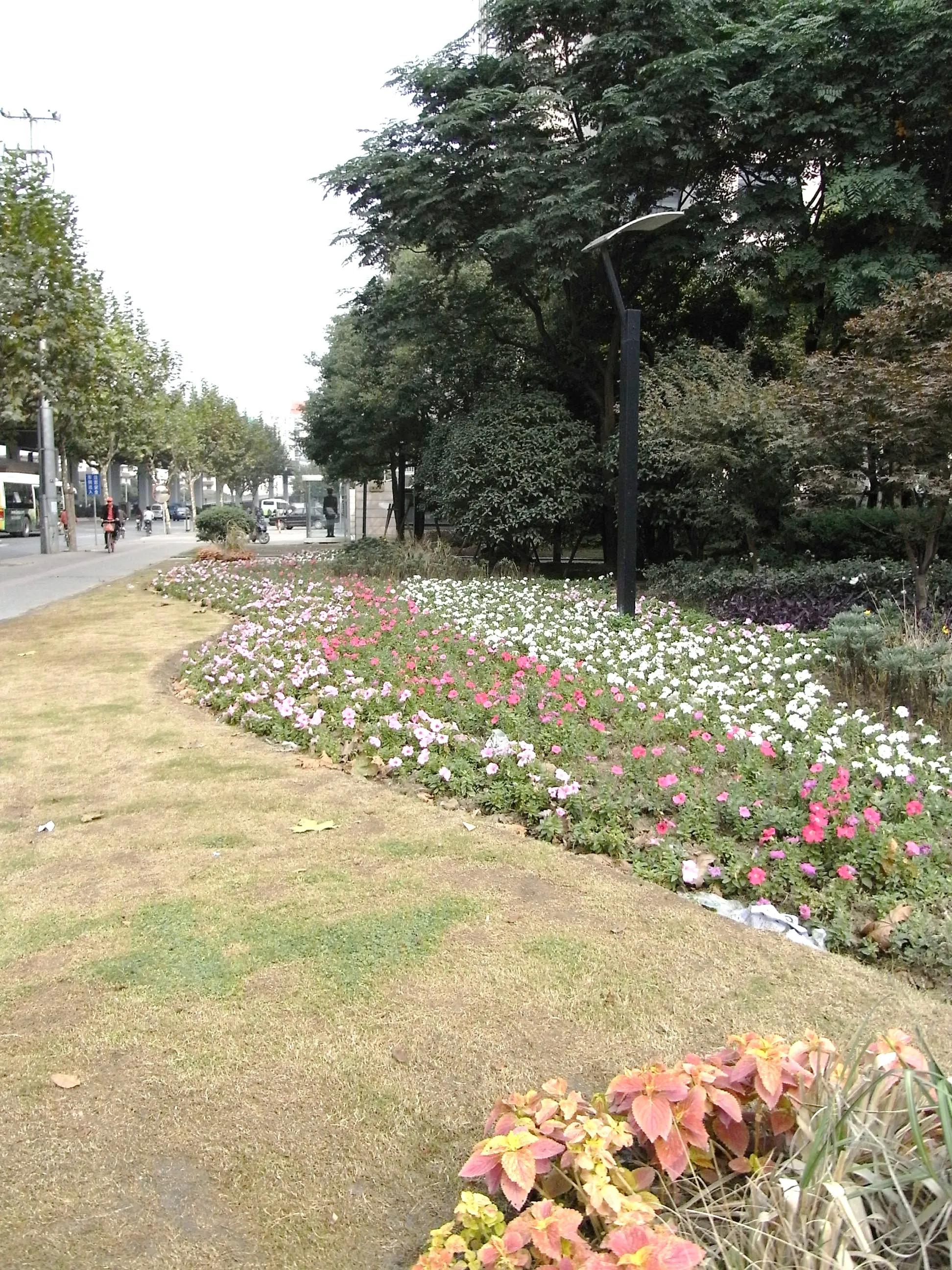中山公園駅付近の風景