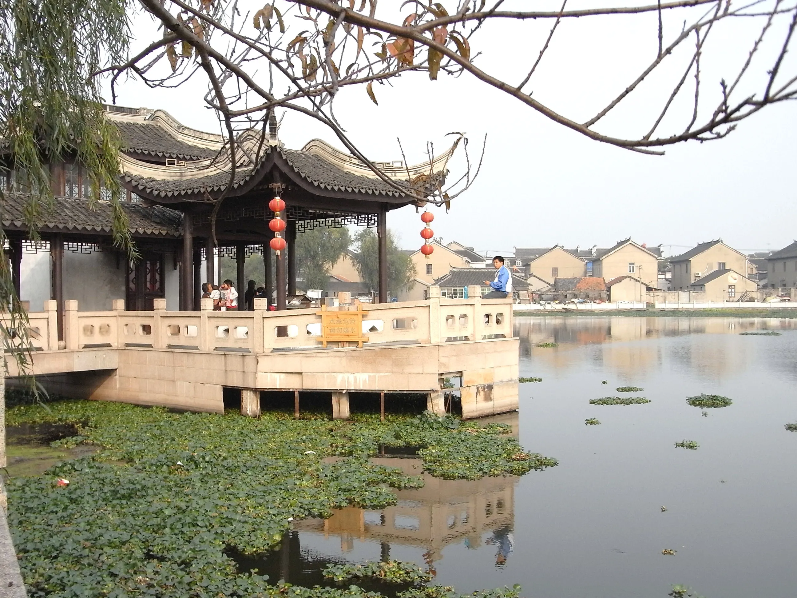 南湖の庭園内の水草