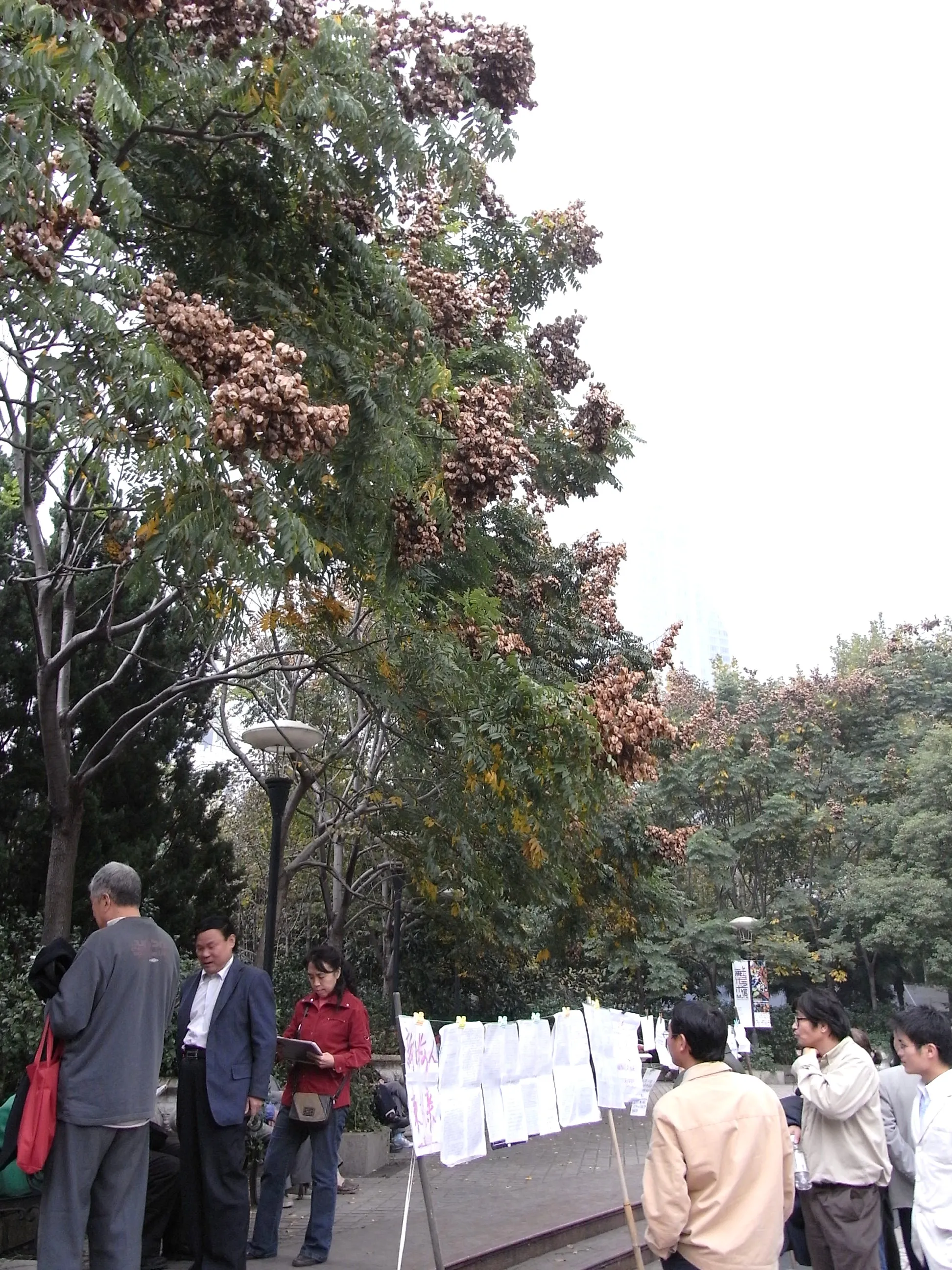 プロフィールが書かれた張り紙