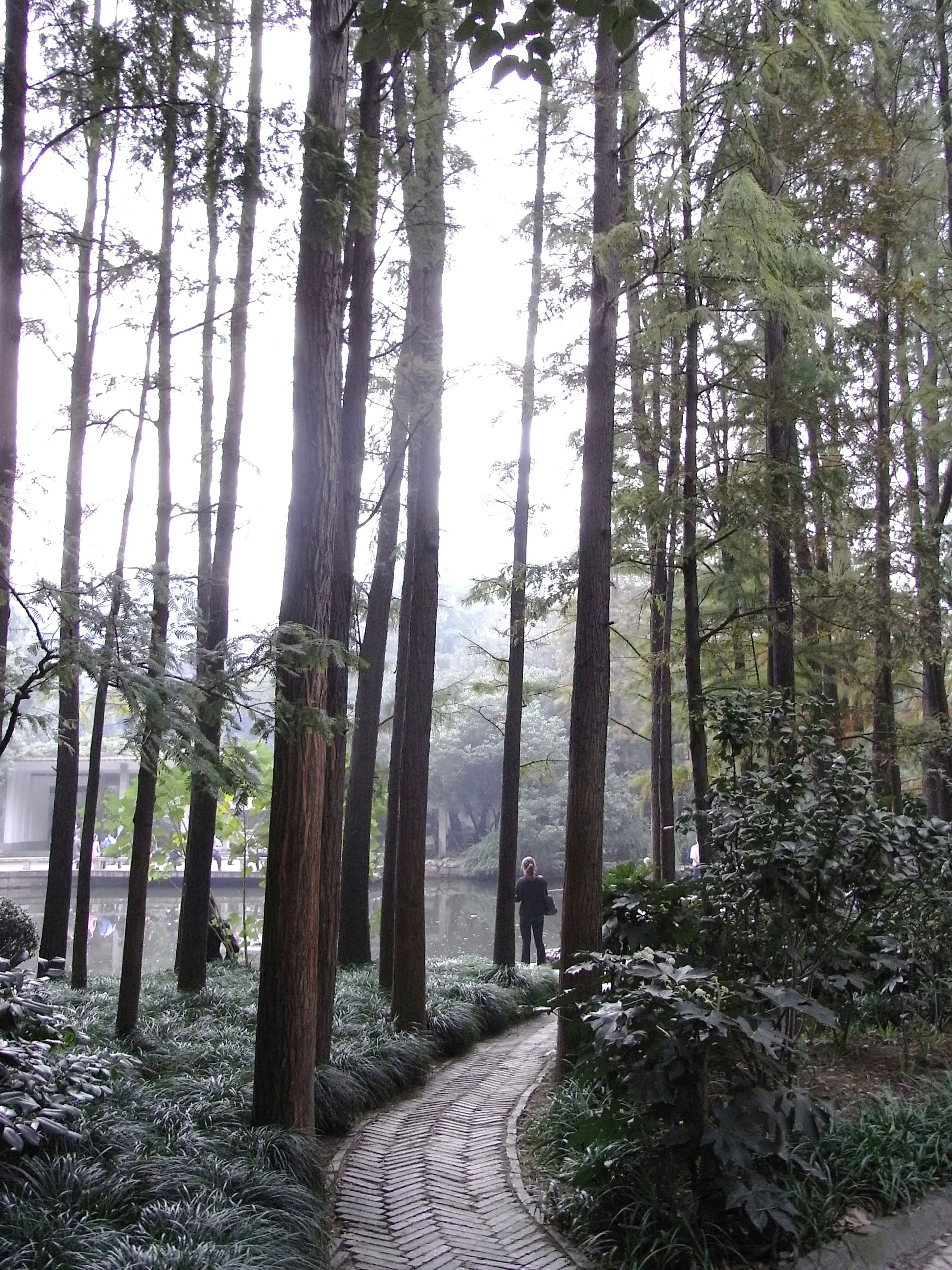 人民公園の池と喫茶店