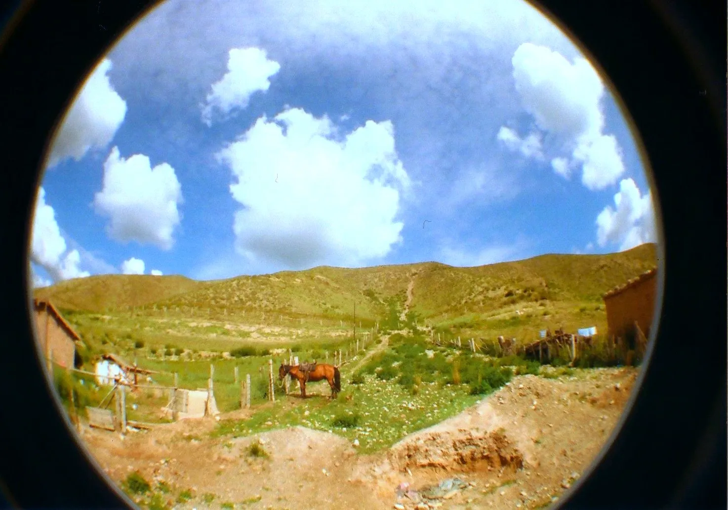 LOMO Fisheye2で撮影したハイコントラスト風景