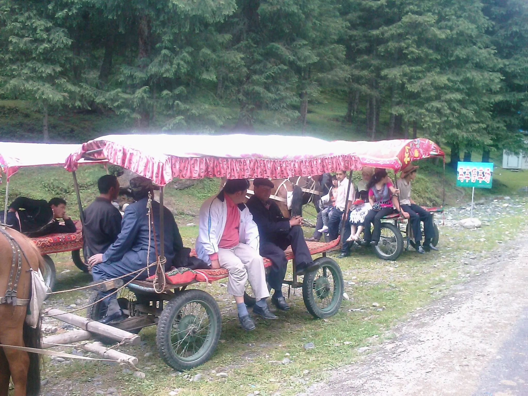 白楊溝の滝へ向かう馬車