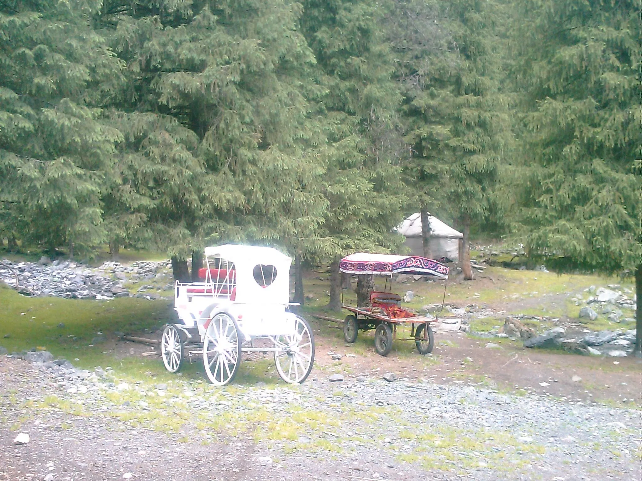 放置されたシンデレラ風の馬車