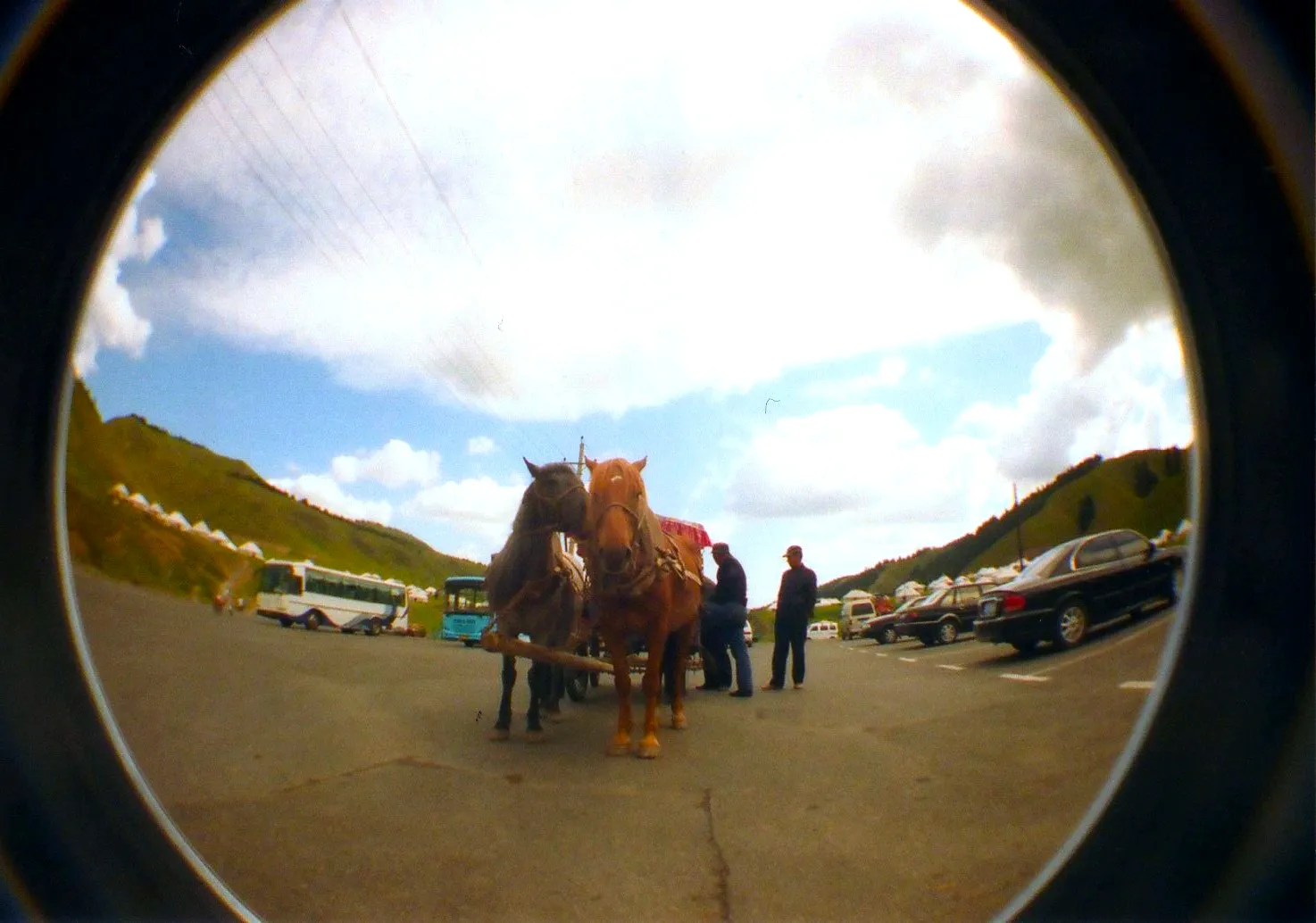 LOMO Fisheye2で撮影した馬車