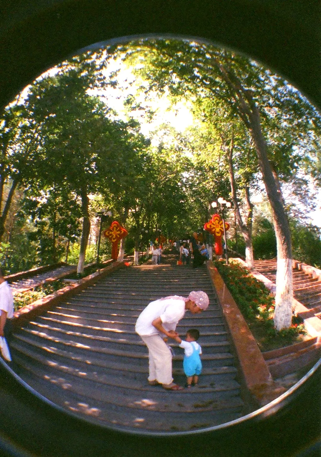 LOMO Fisheye2で撮影した木陰の階段