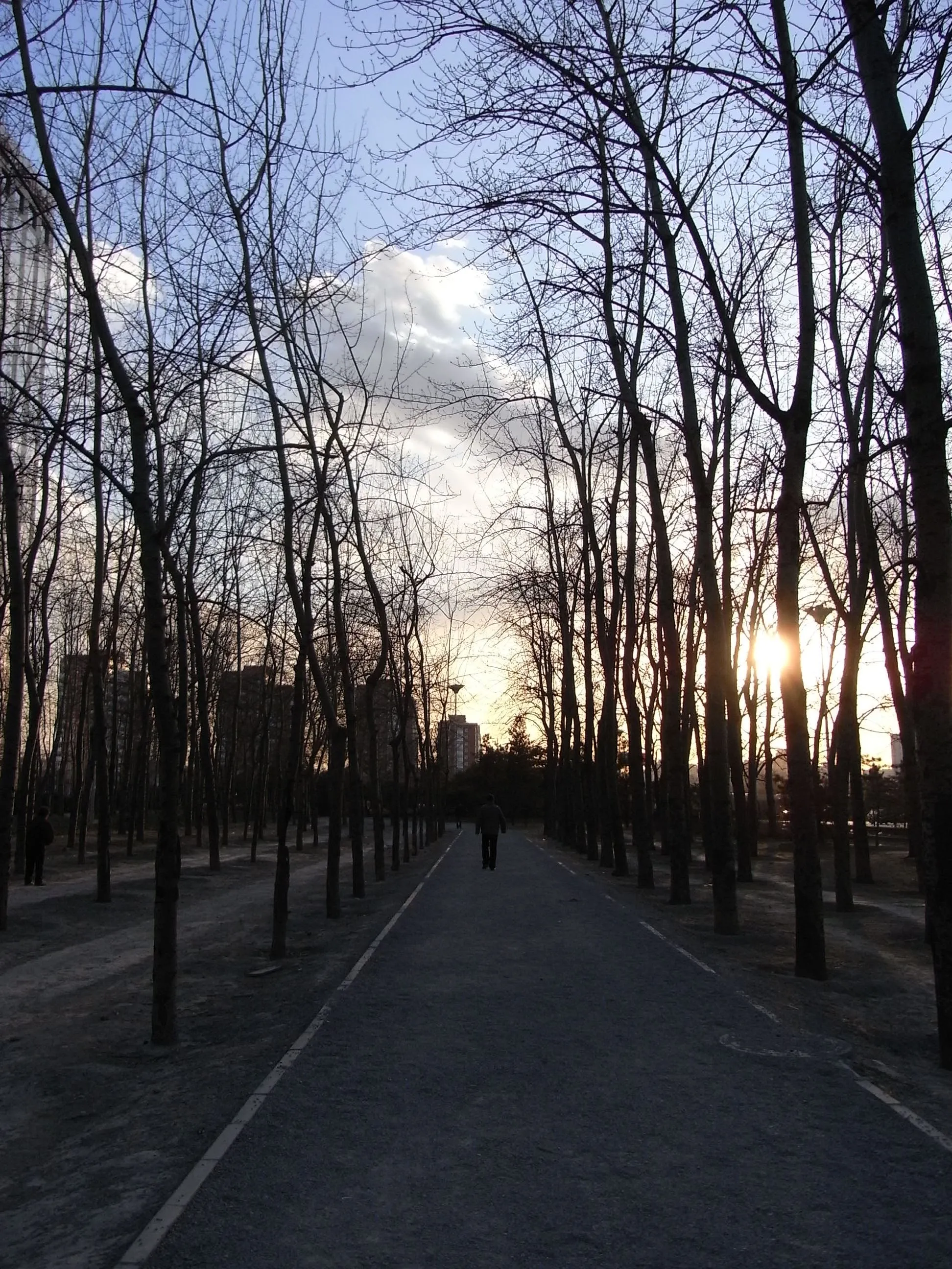 地下鉄駅近くの公園