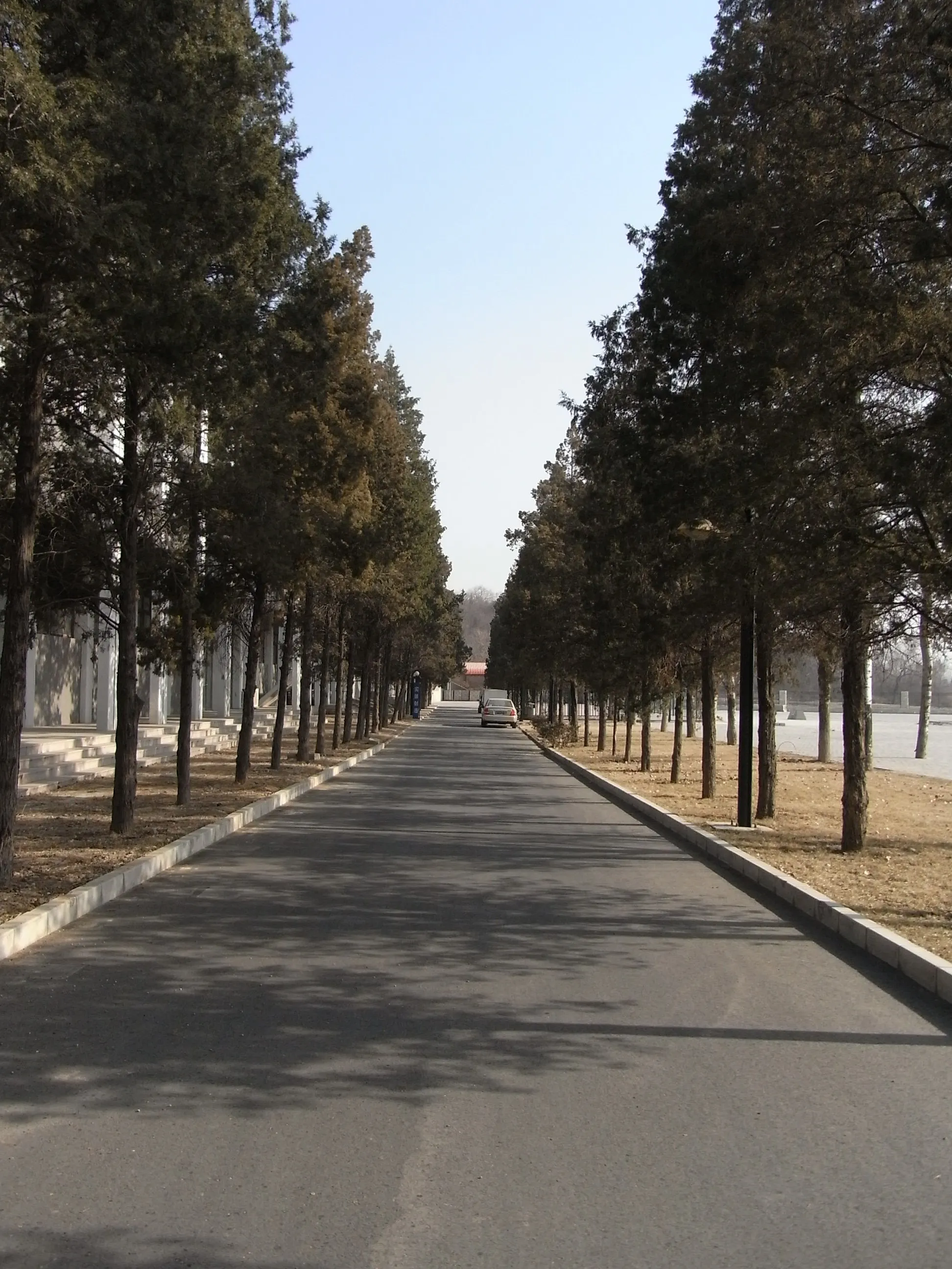 広大な射撃場敷地