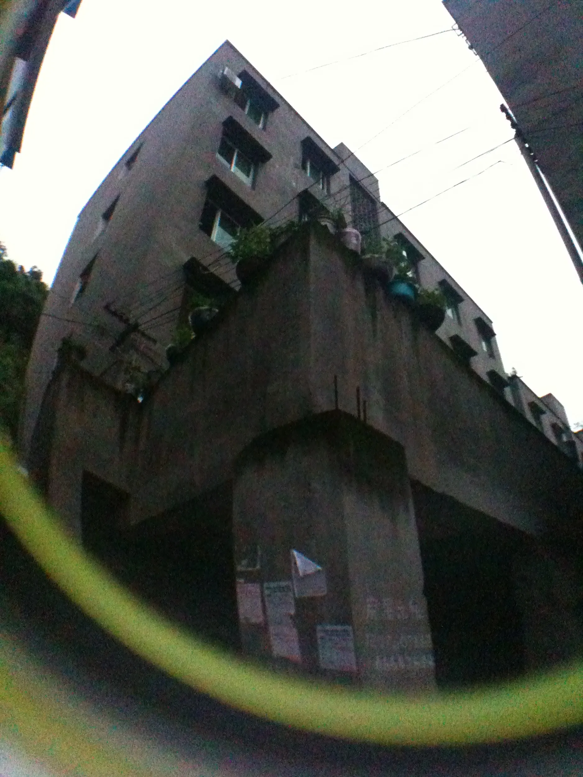 重慶市の中心 沙坪壩区