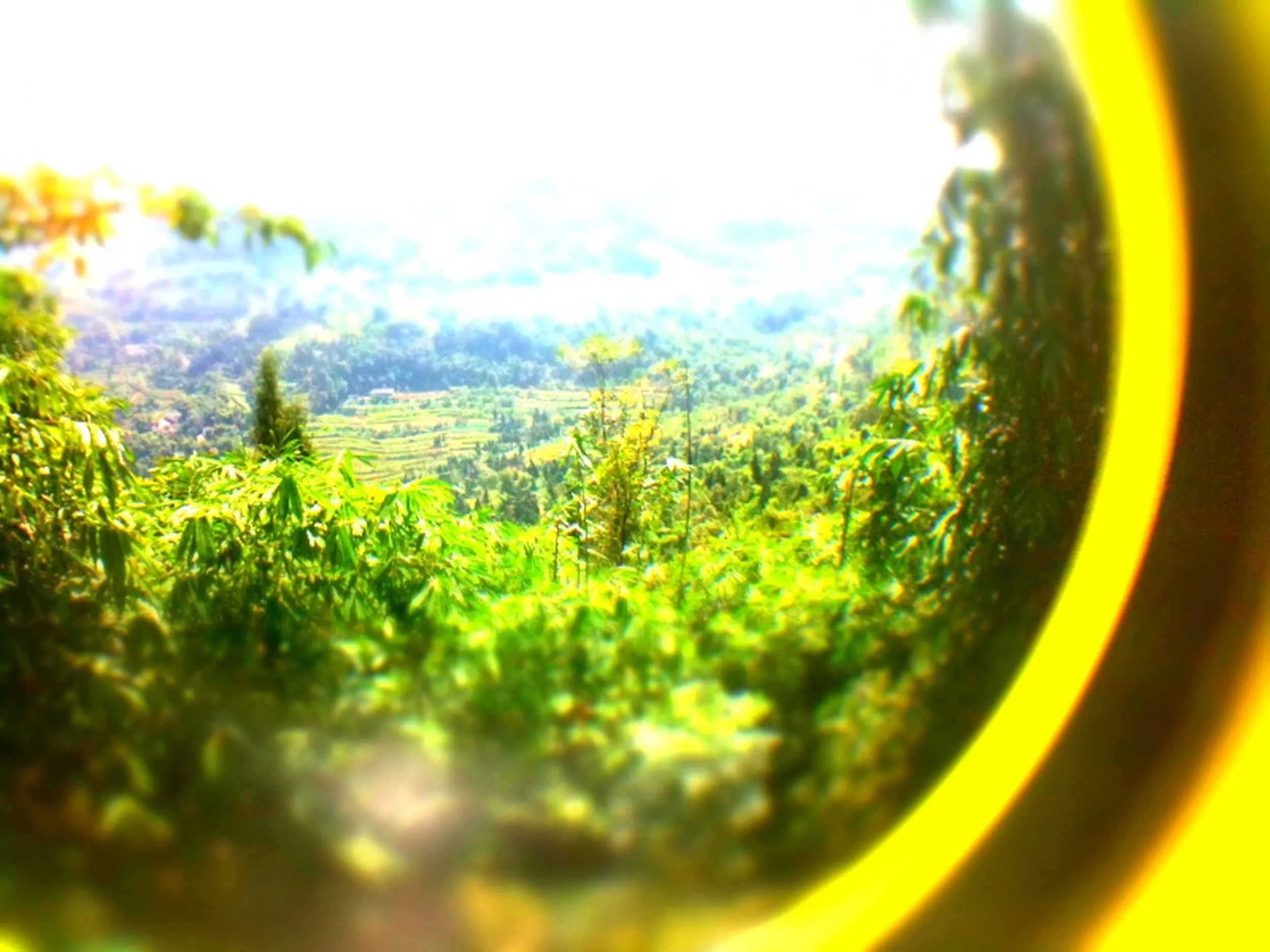 ミニチュア風の風景