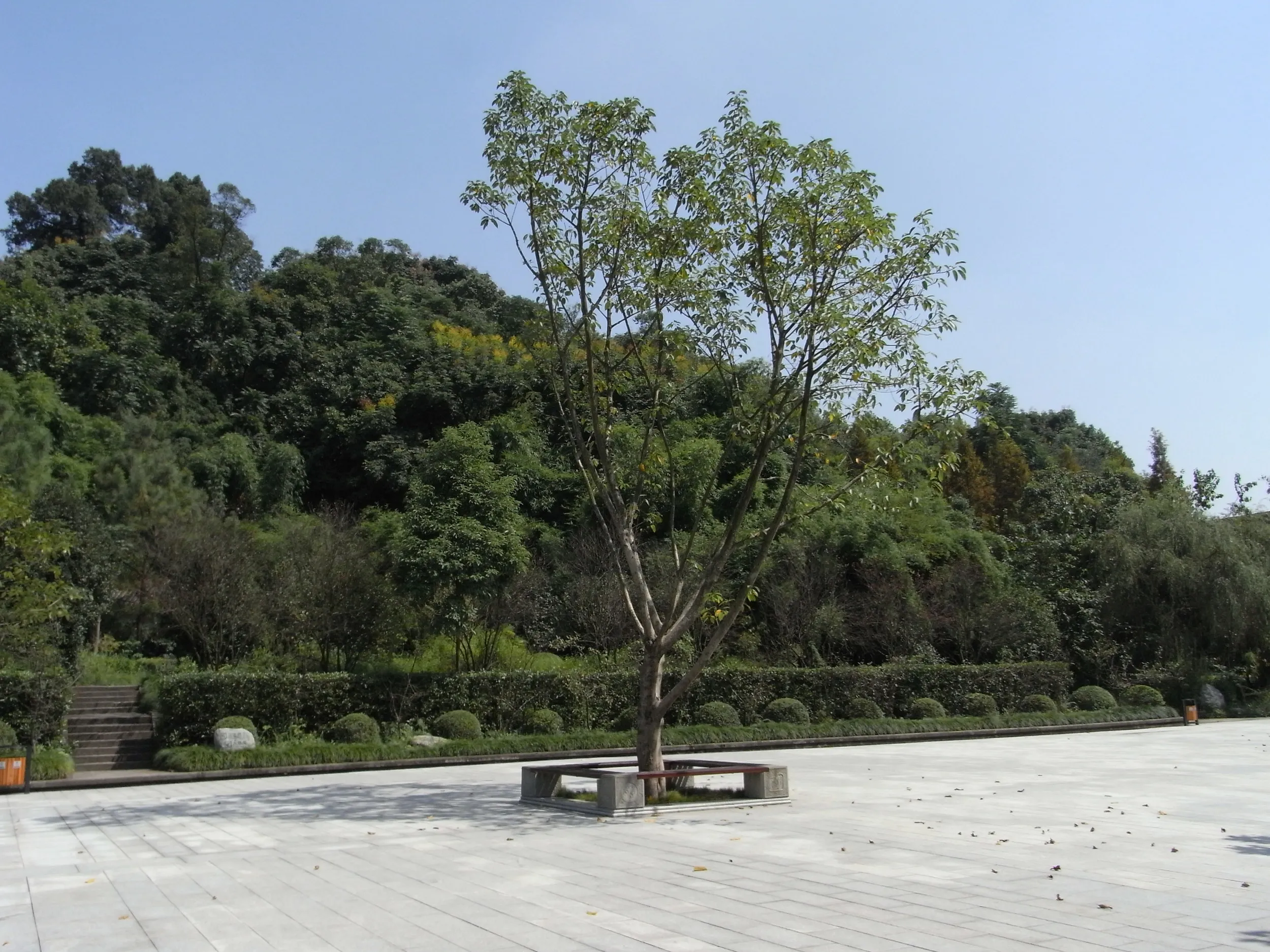 整備された石窟の入り口