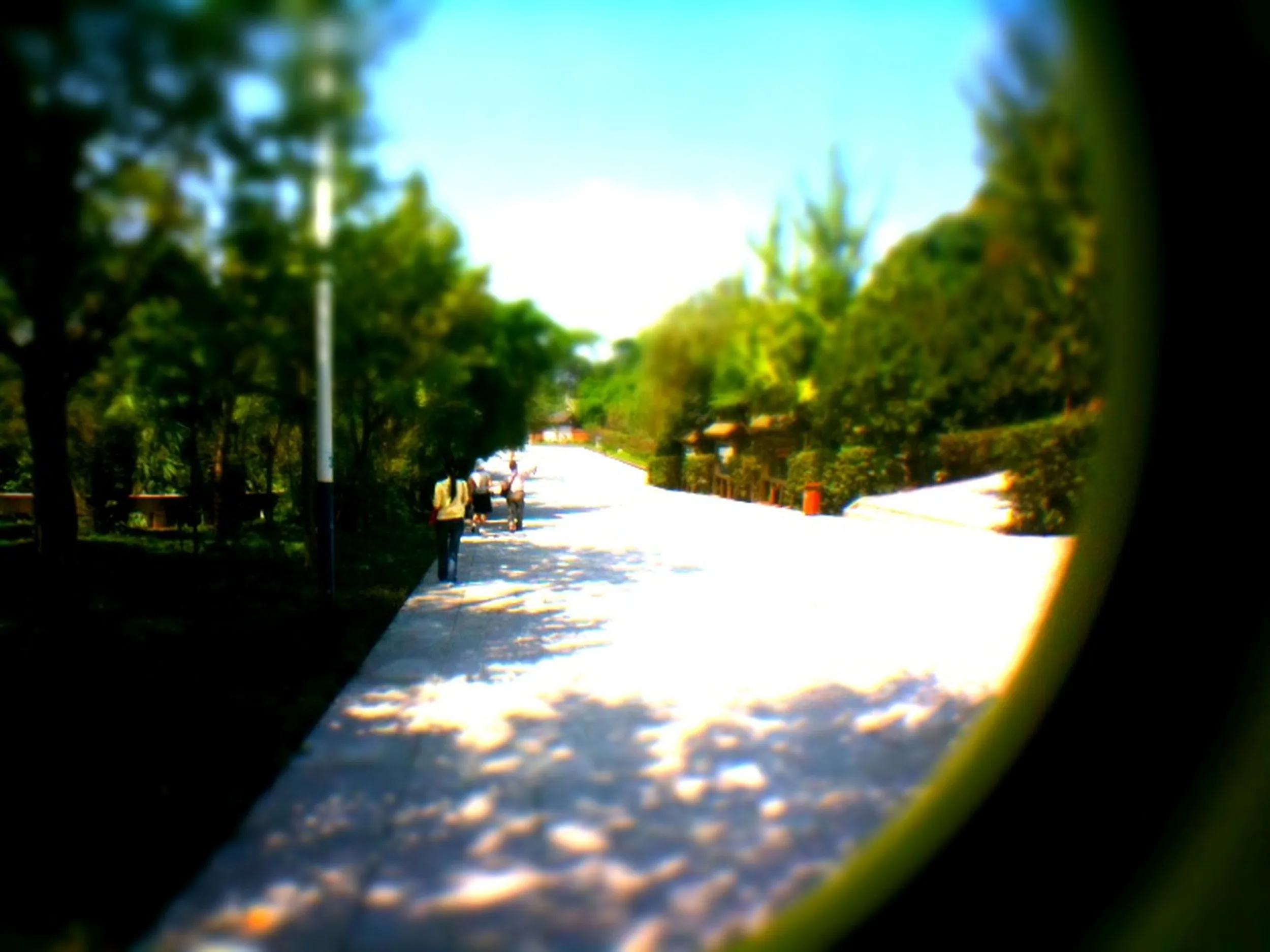 宝頂山石刻へ続く路