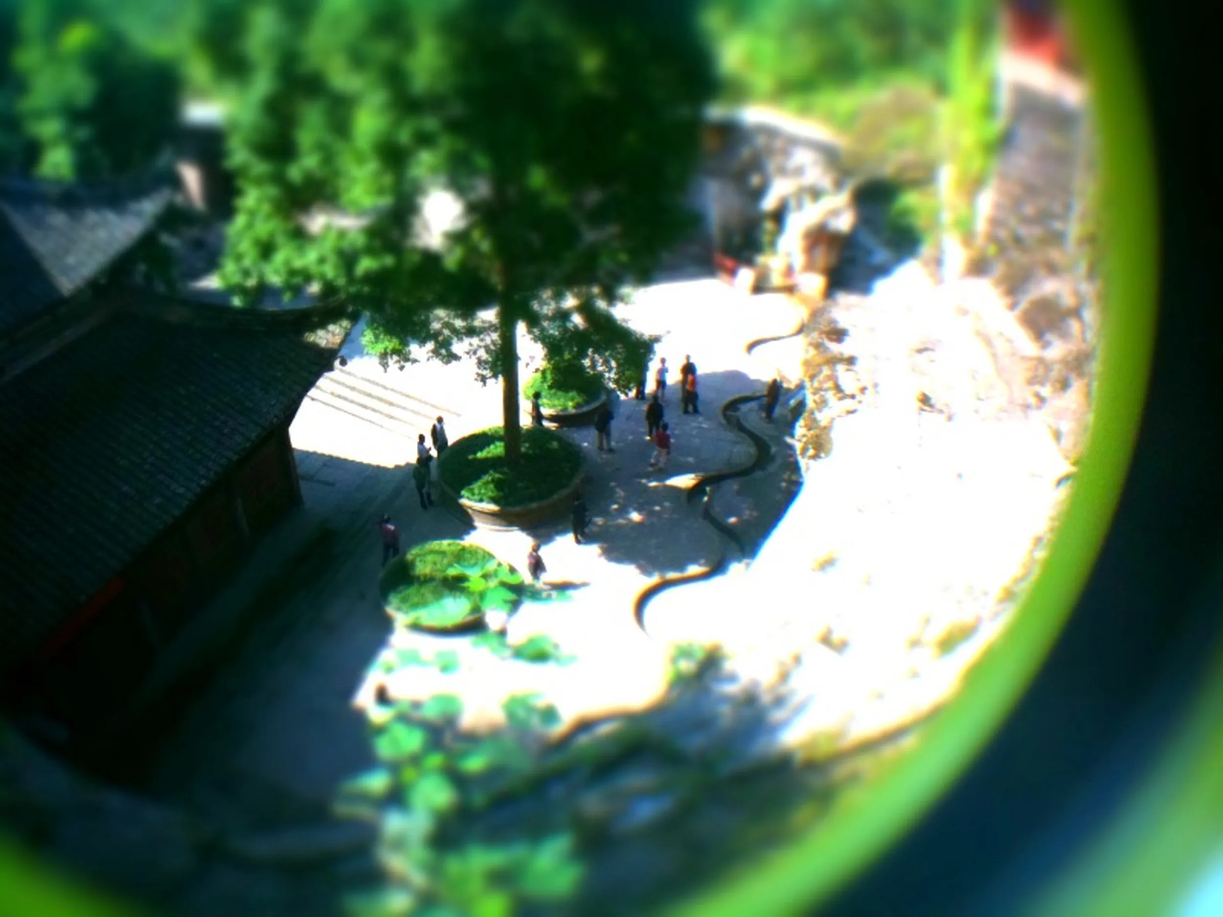 ミニチュアライズした大仏湾