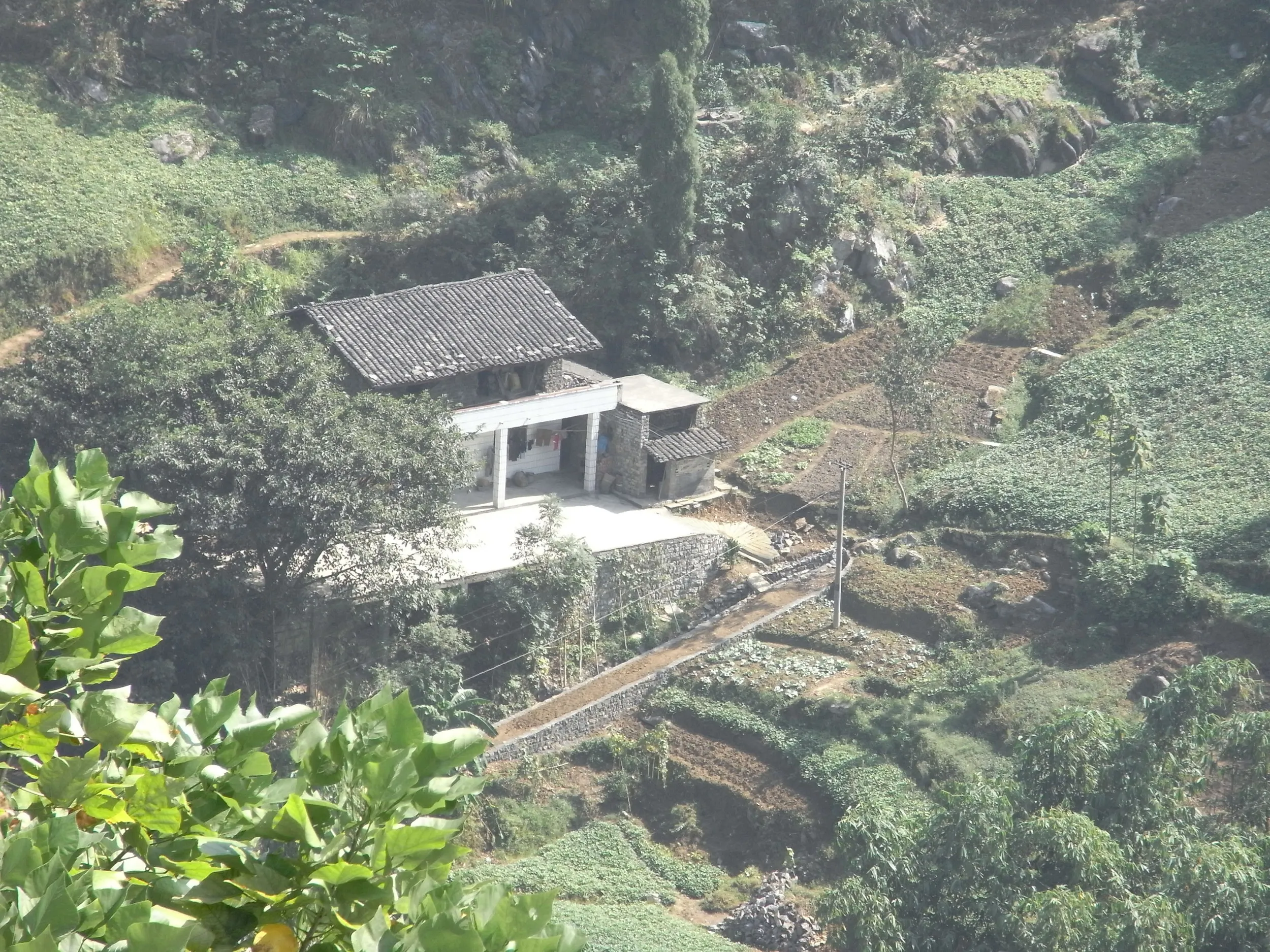 苗族が住む段々畑と農家
