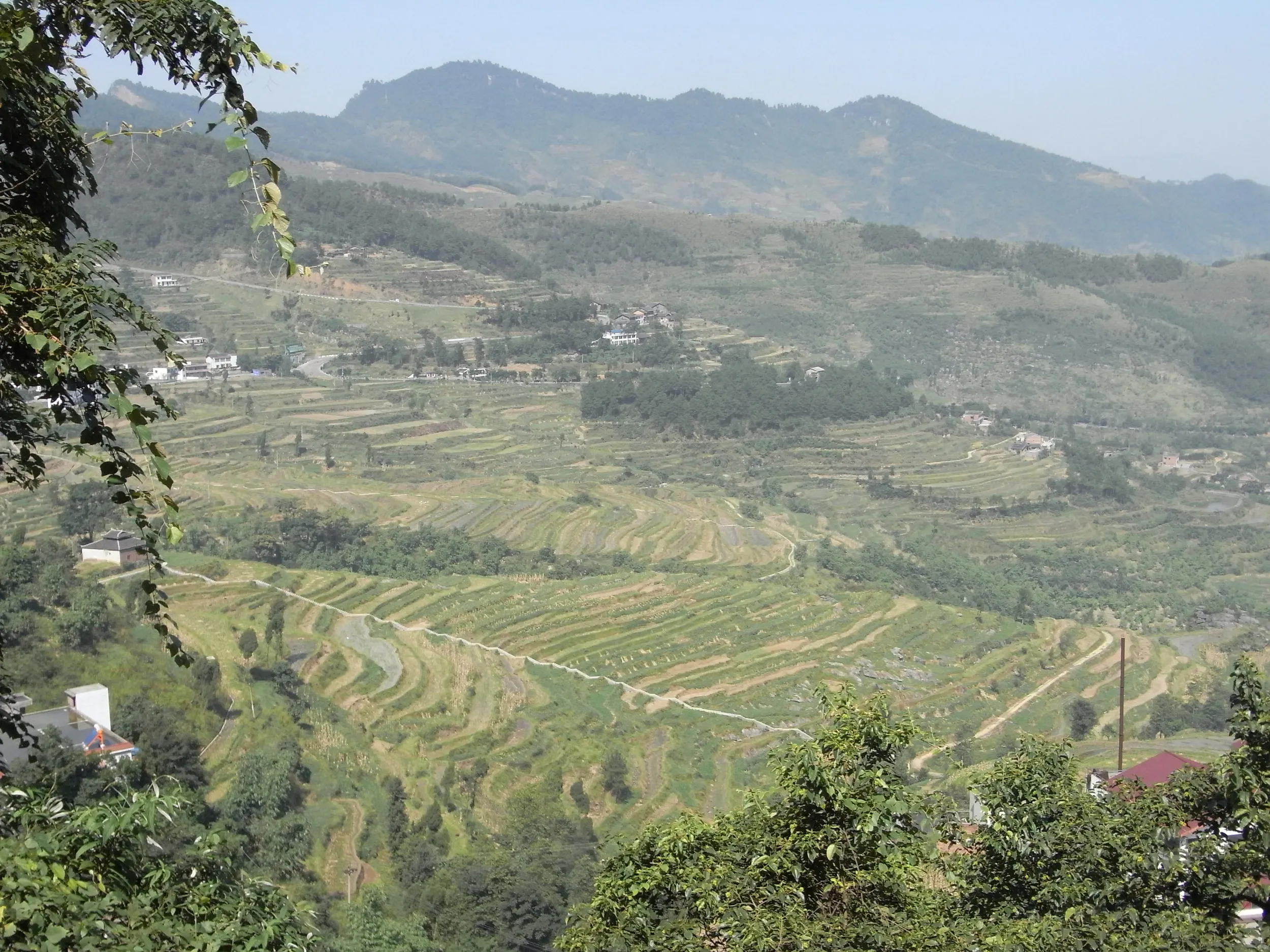 苗族の段々畑