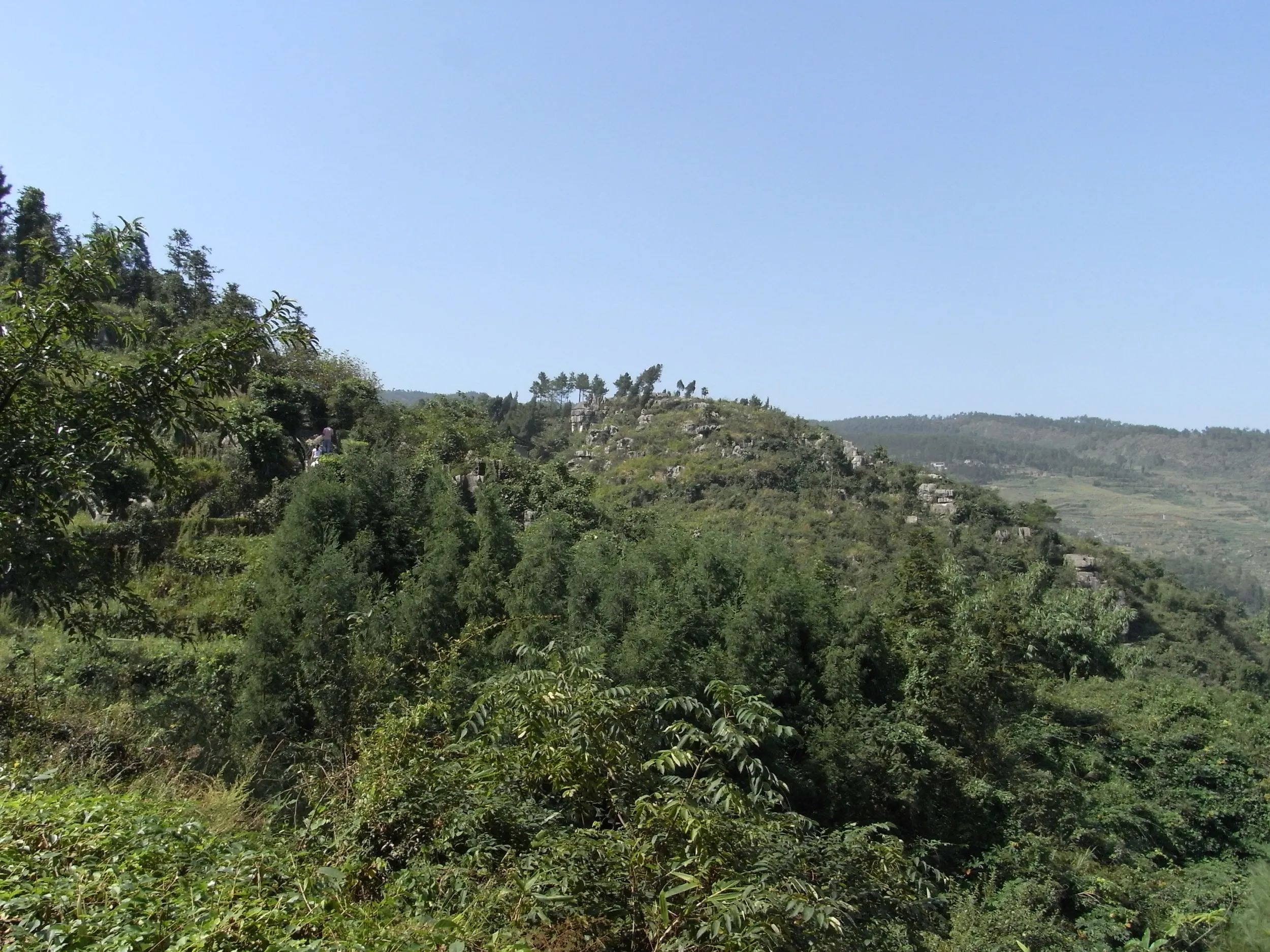 むき出しの石灰岩の山肌