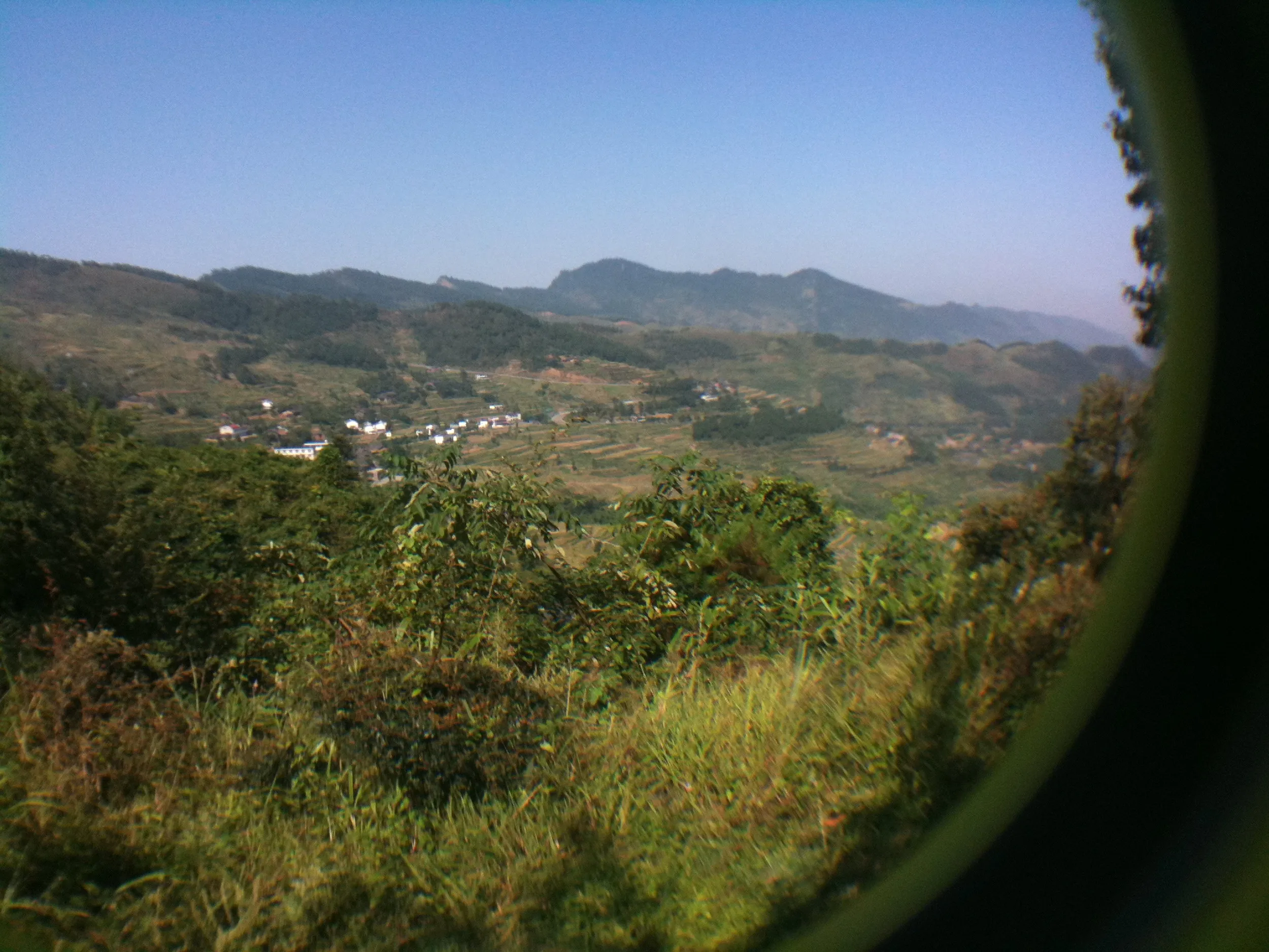 遠望する段々畑