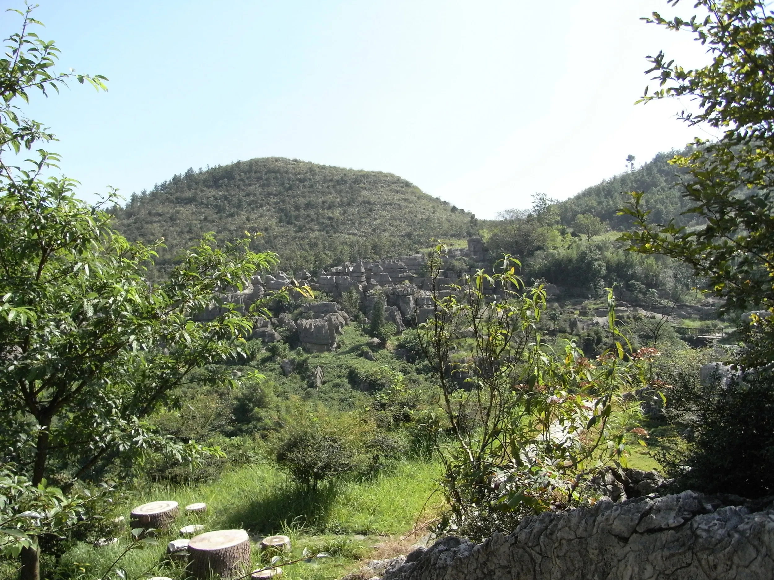 広大な万盛石林の風景