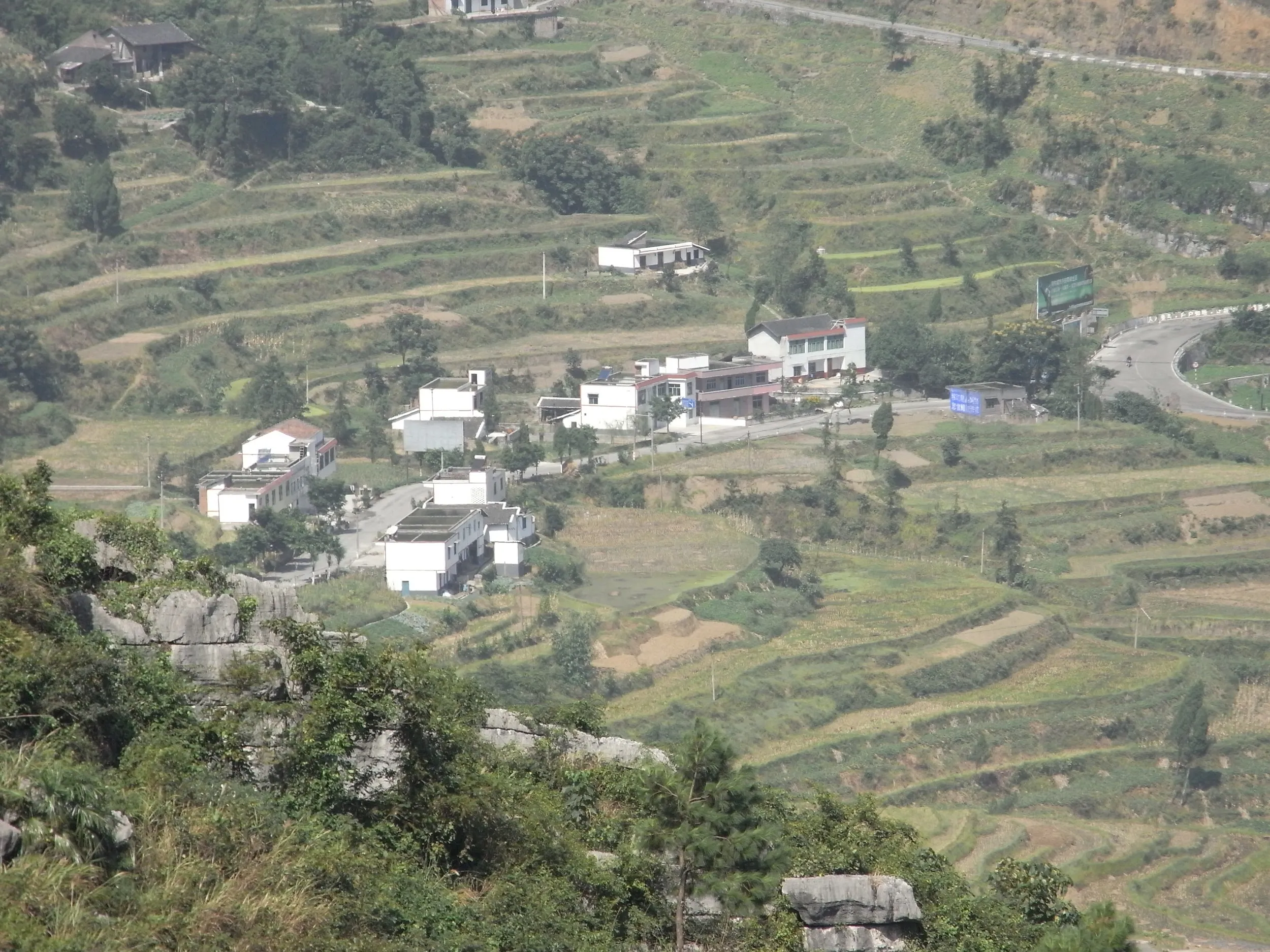 苗族ののどかな段々畑