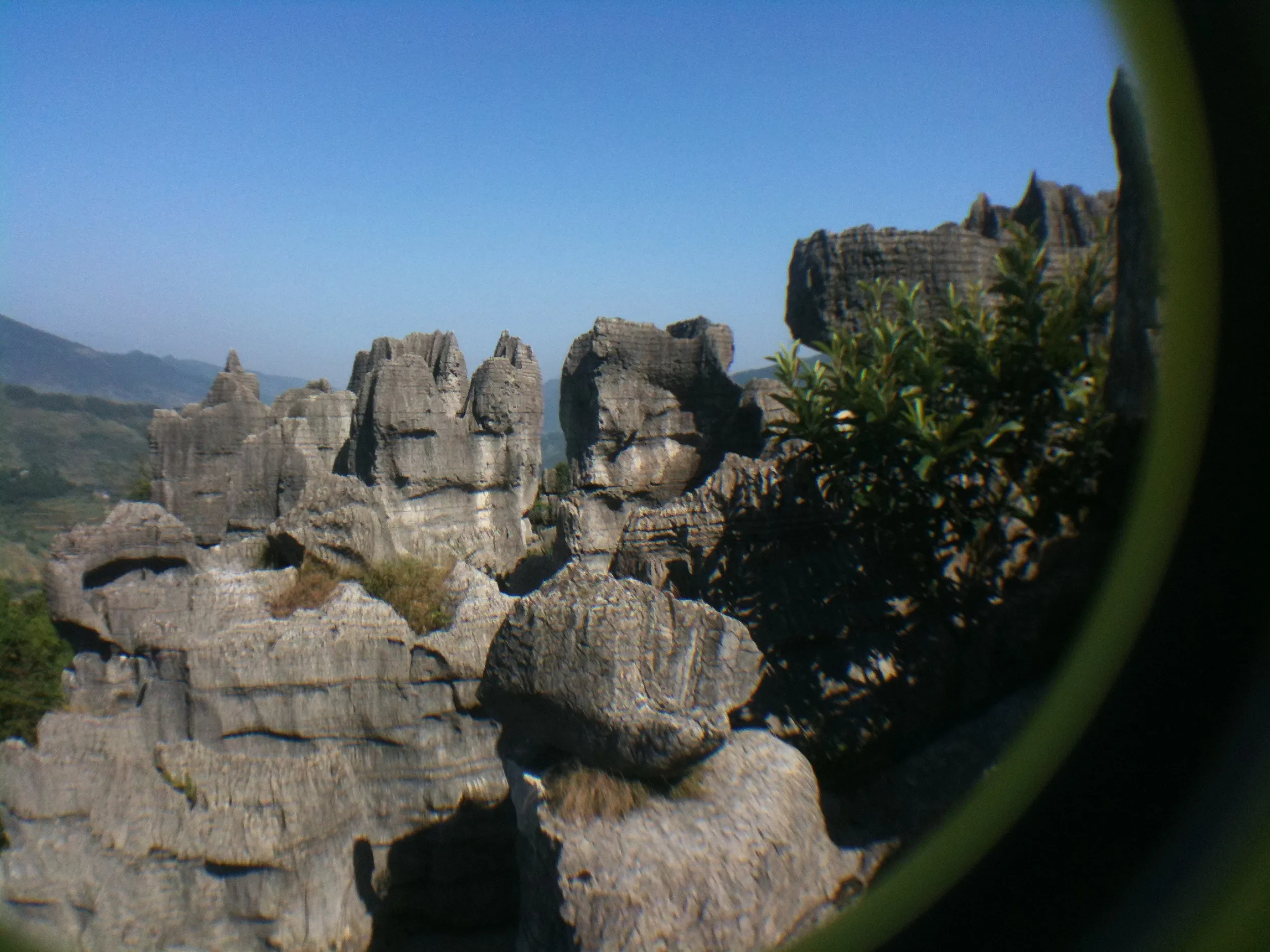 侵食跡が印象的な石林群