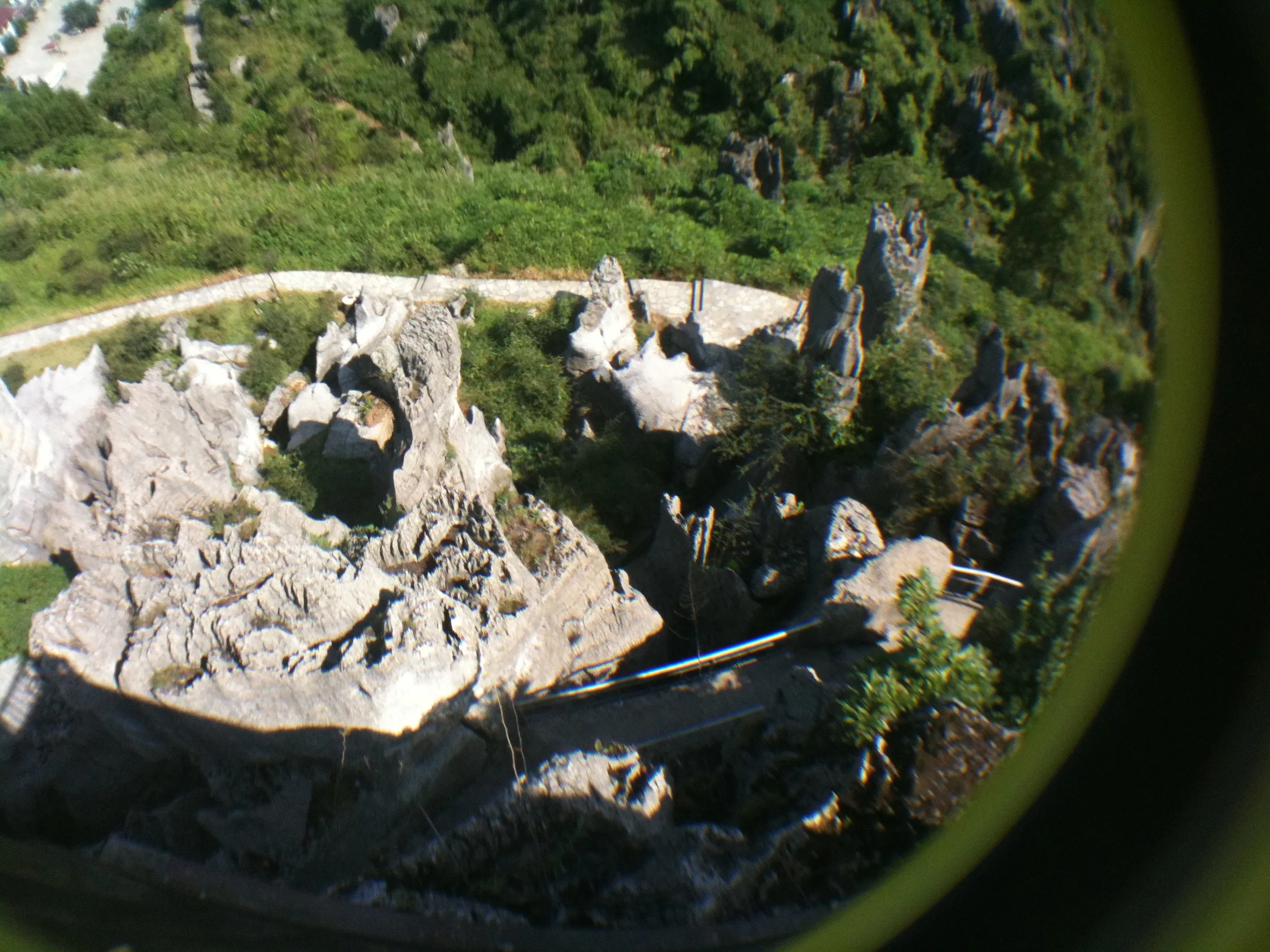 石林を眼下に望む風景