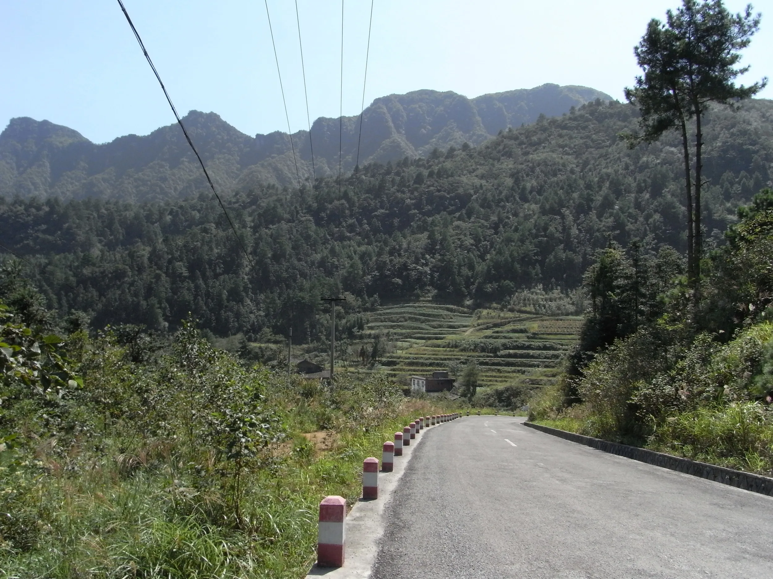 RICOH R10で撮った黒山谷への道