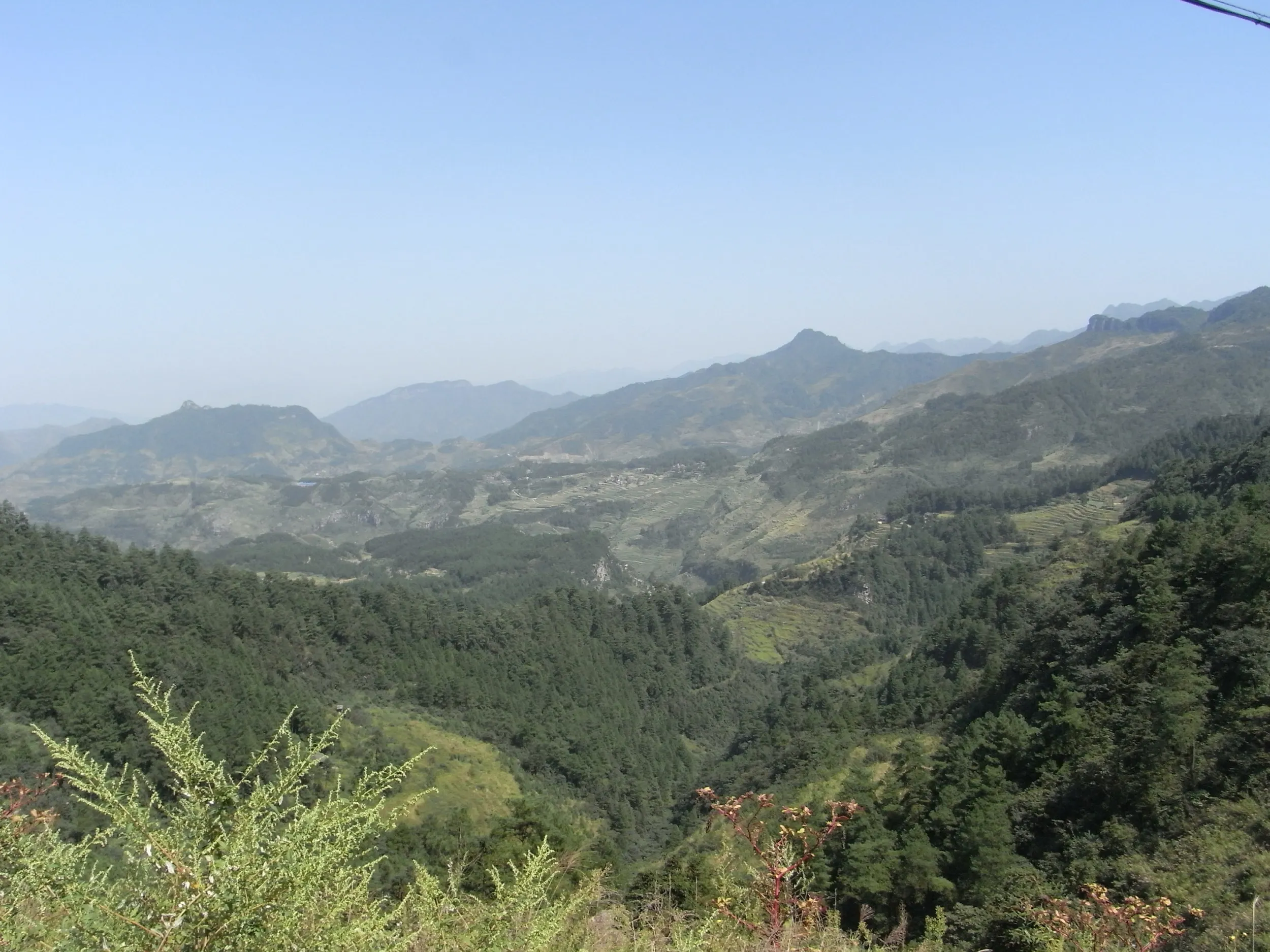 ドライブに最適な黒山谷の風景