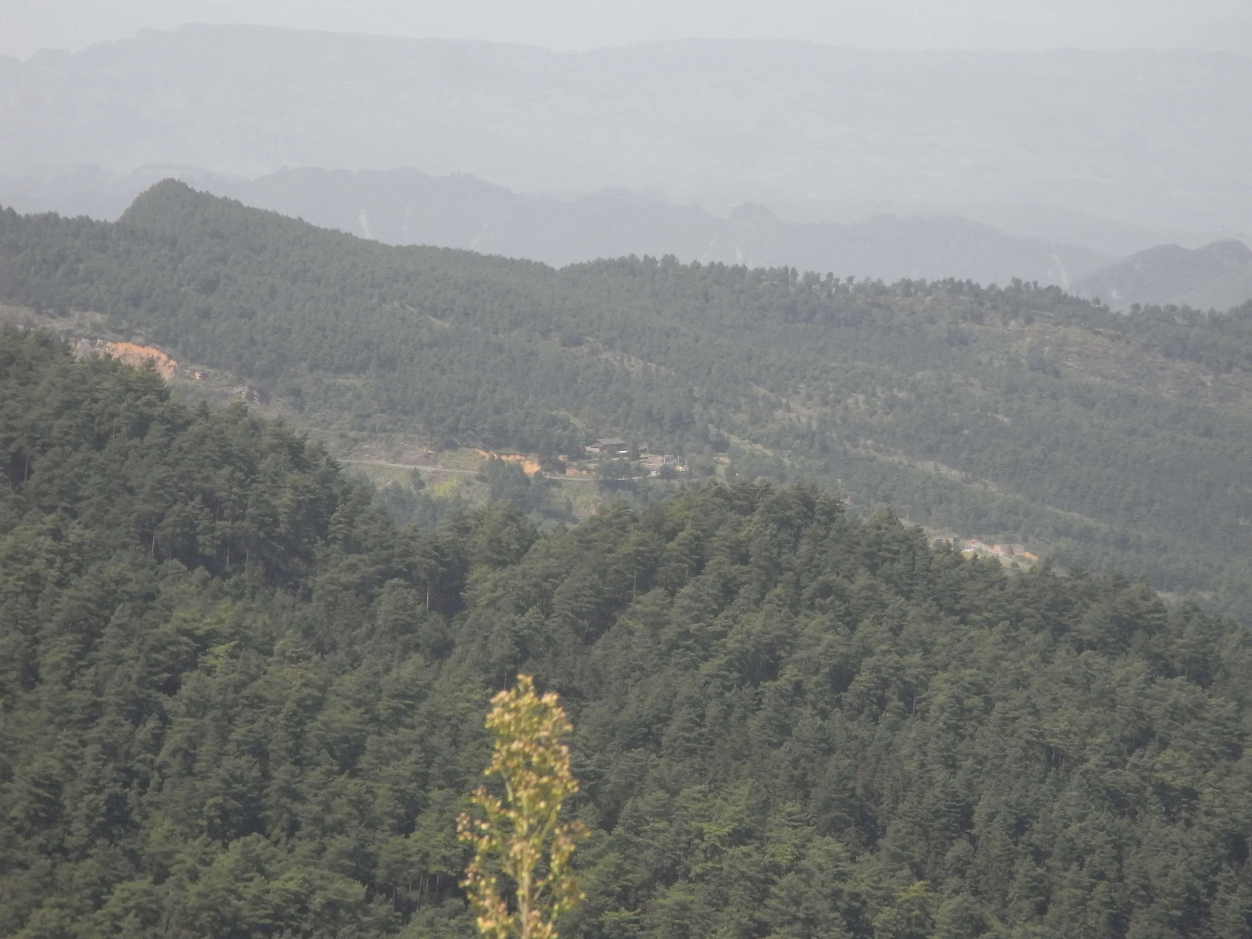森林の中に点在する民家