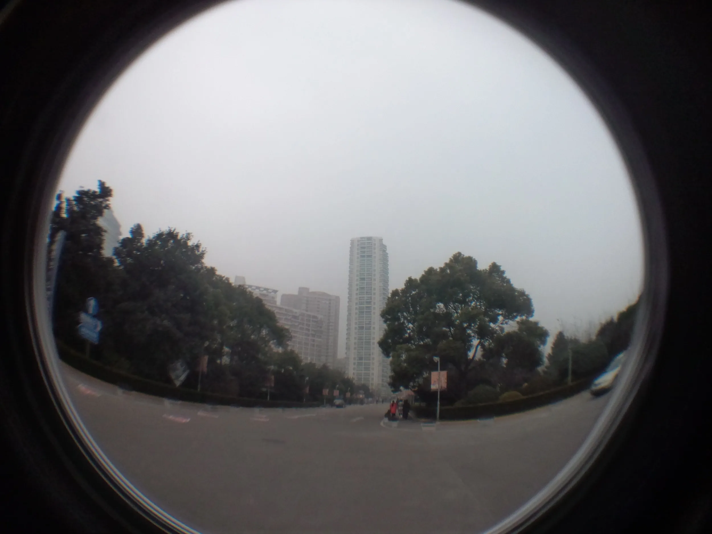 上海体育館と周辺の風景