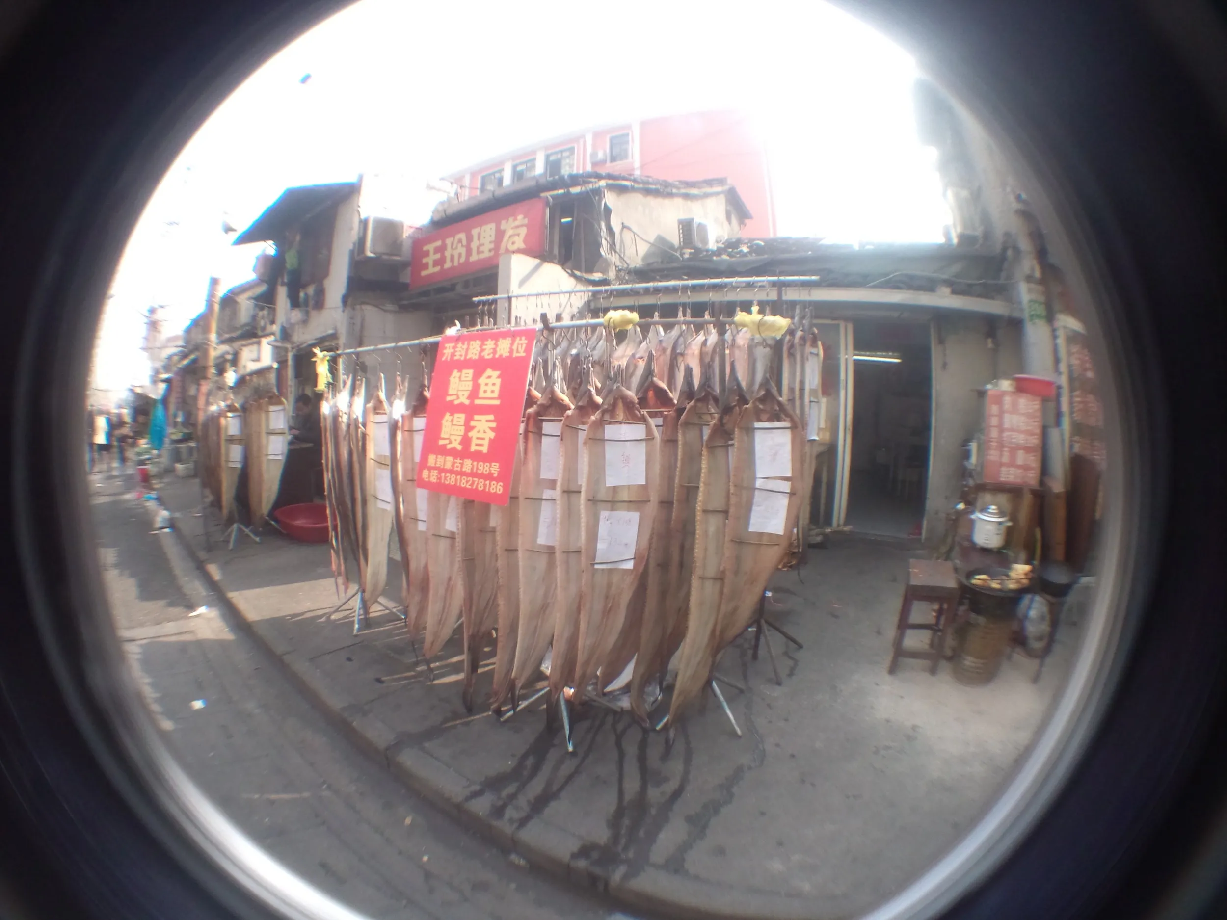 コイ科の魚の干し物