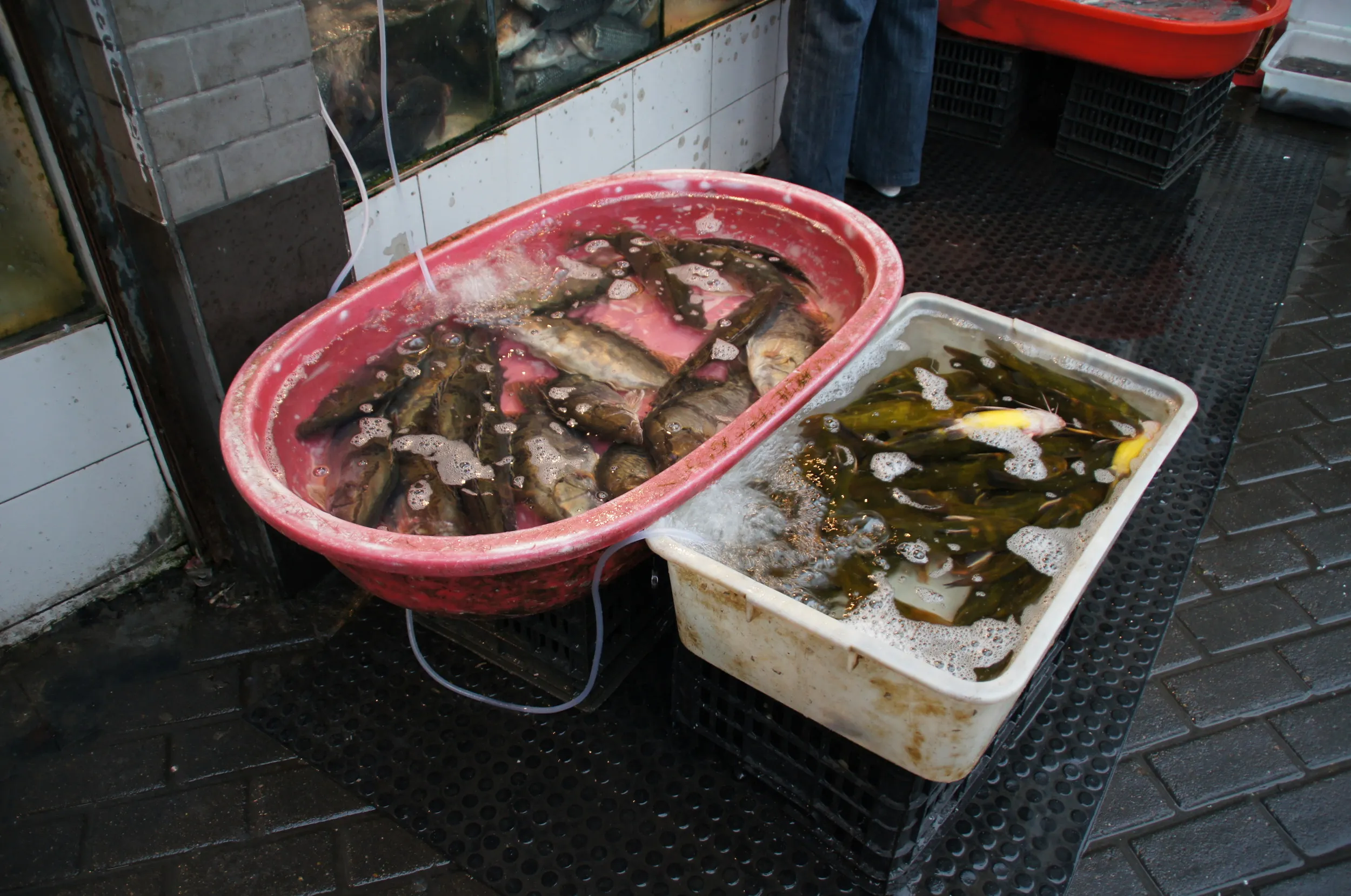 新閘路の市場を散歩