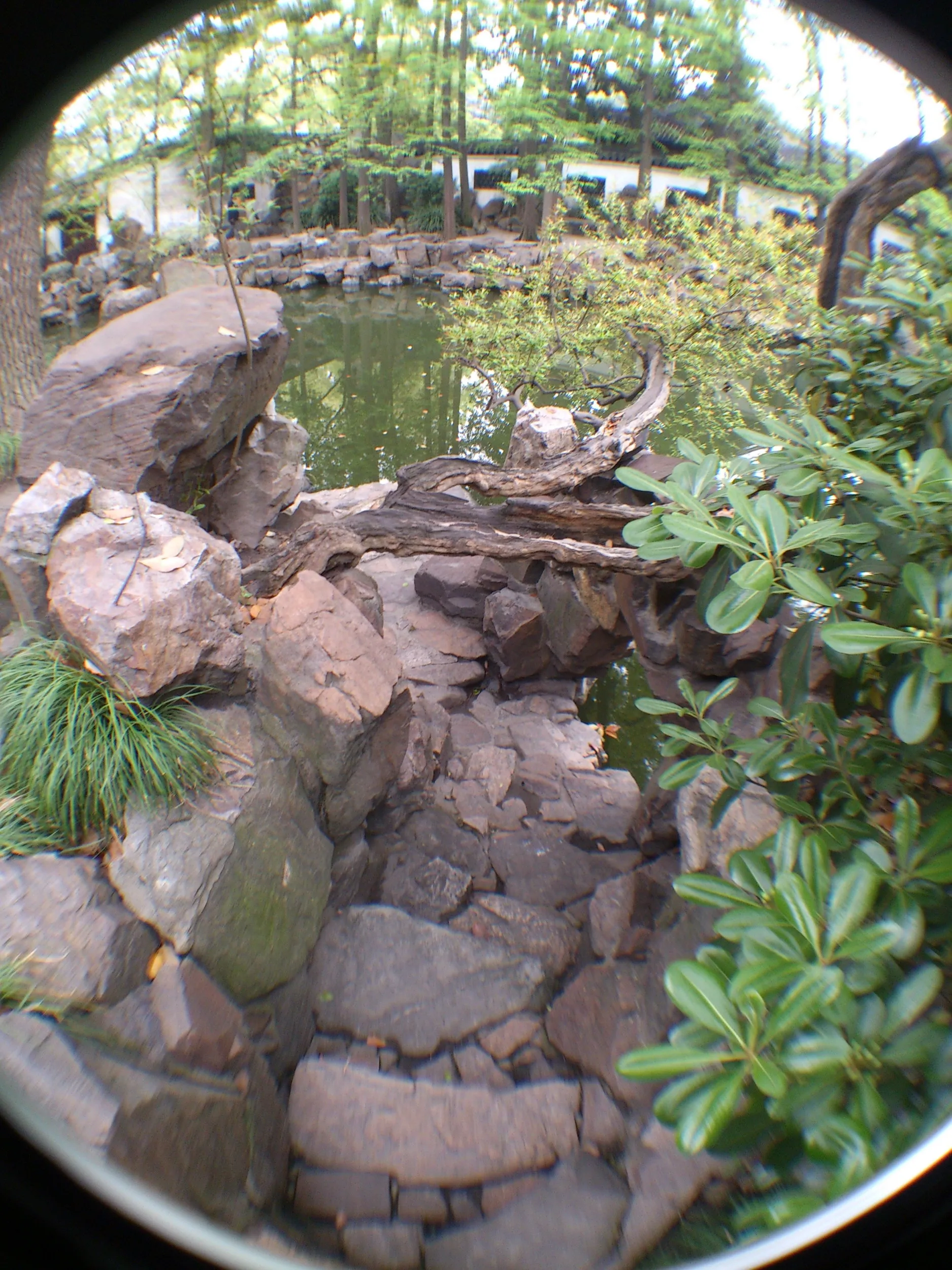 会景楼付近の池の風景