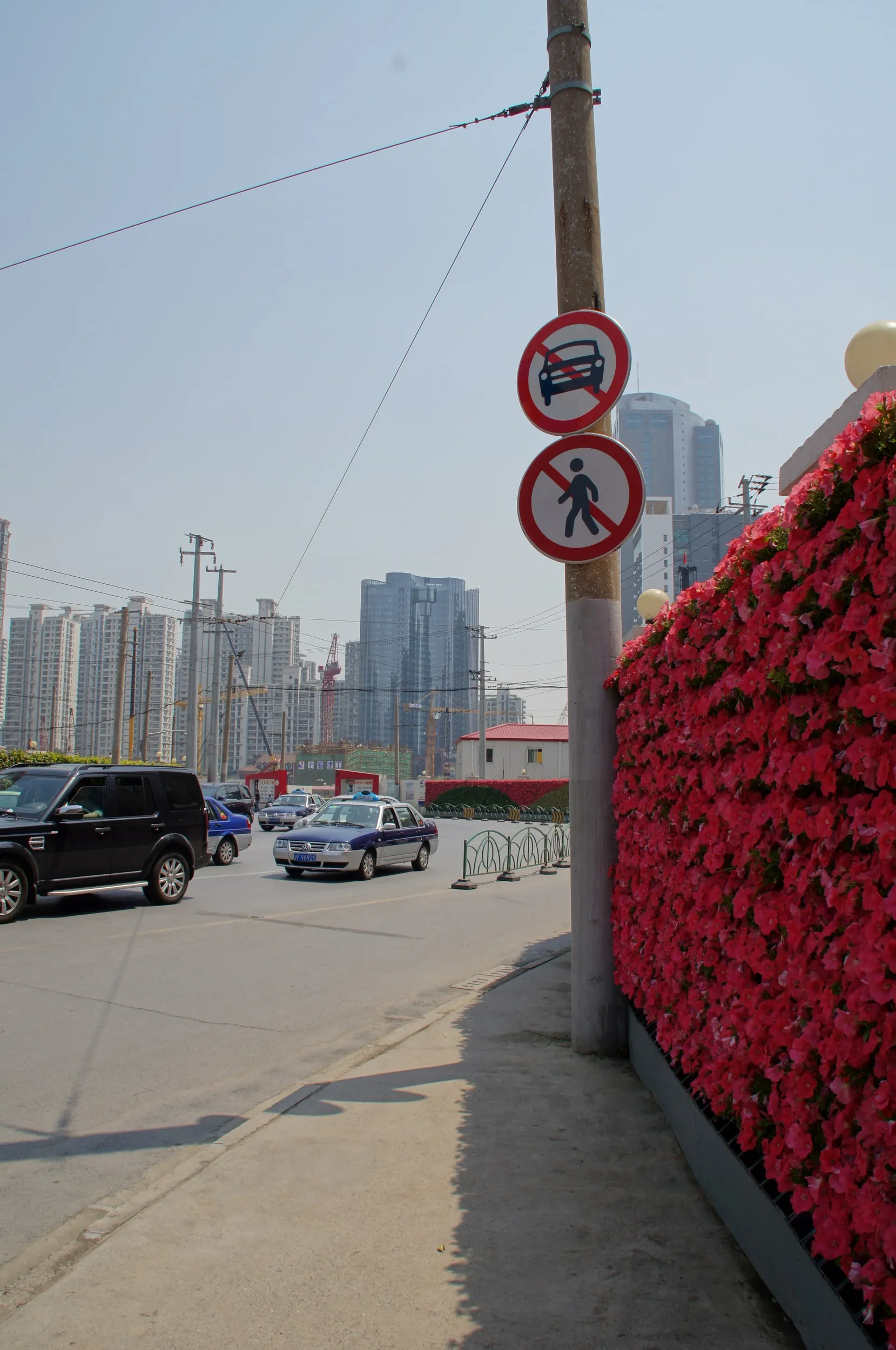 交差点と花に覆われた壁