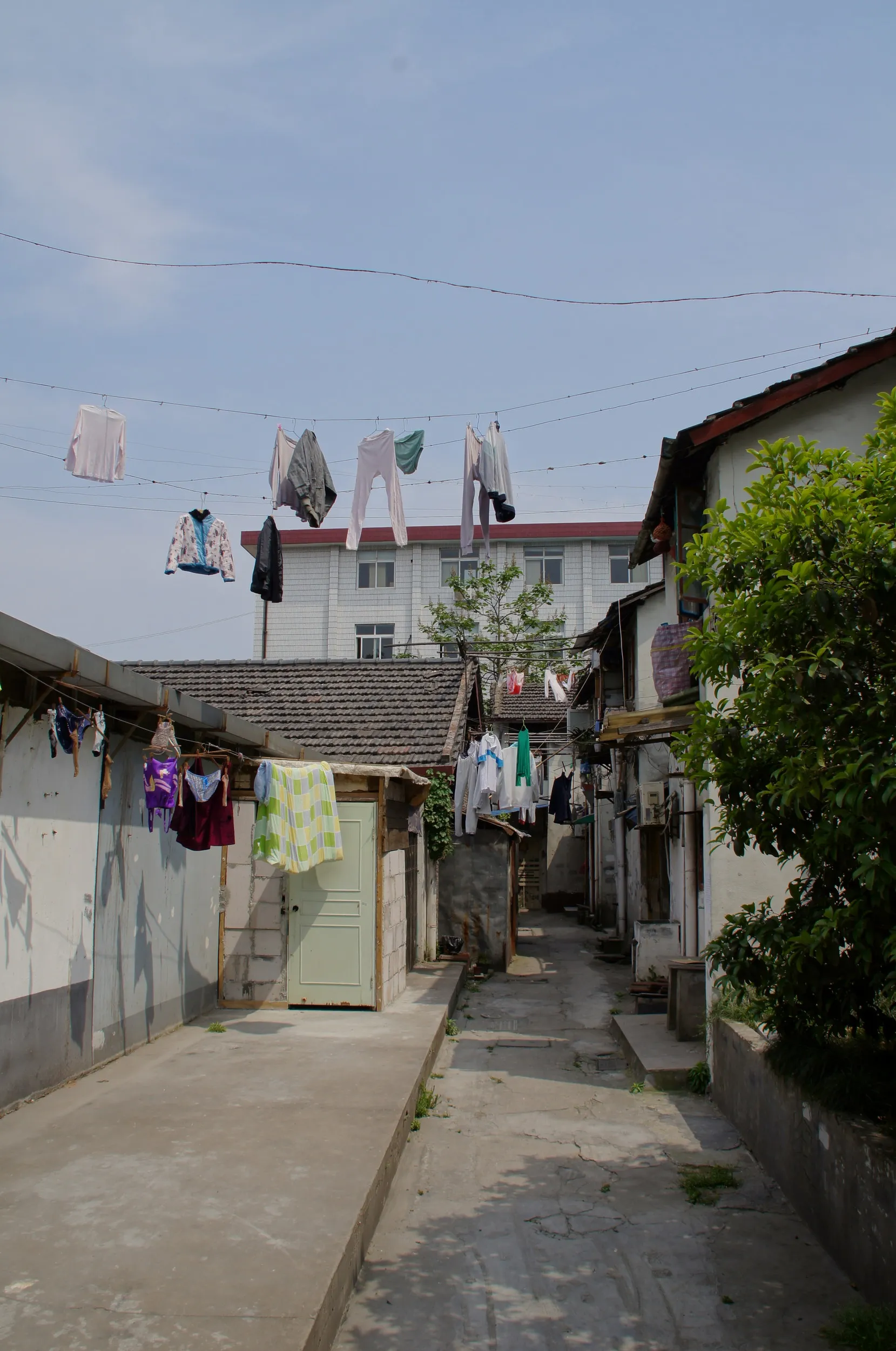 江城路沿いの裏路地