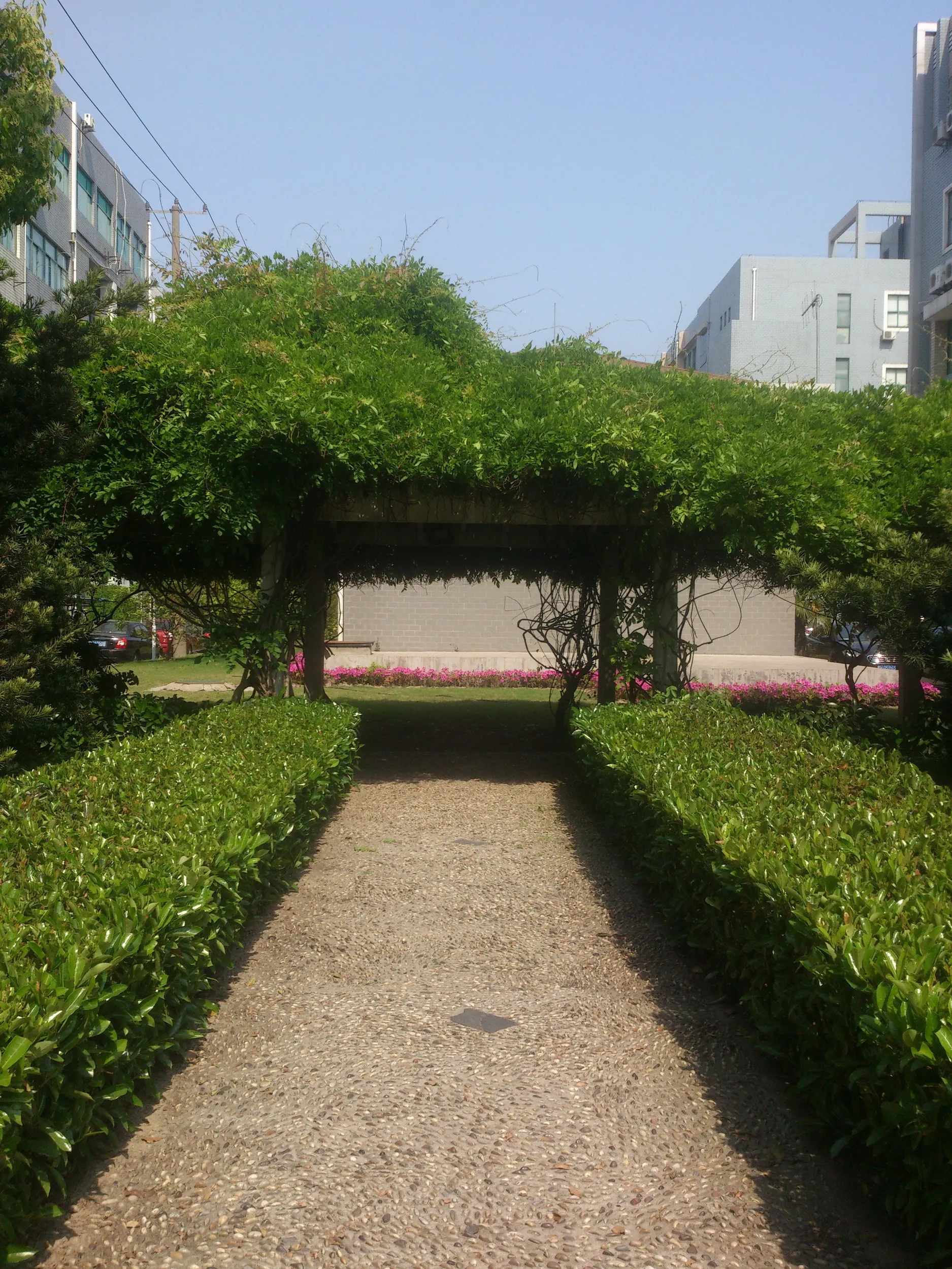 職場付近の風景