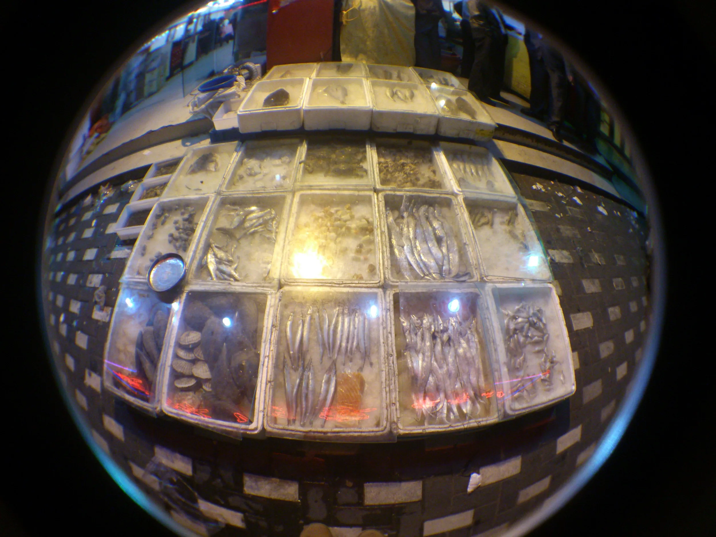 三泉路付近の魚屋さん