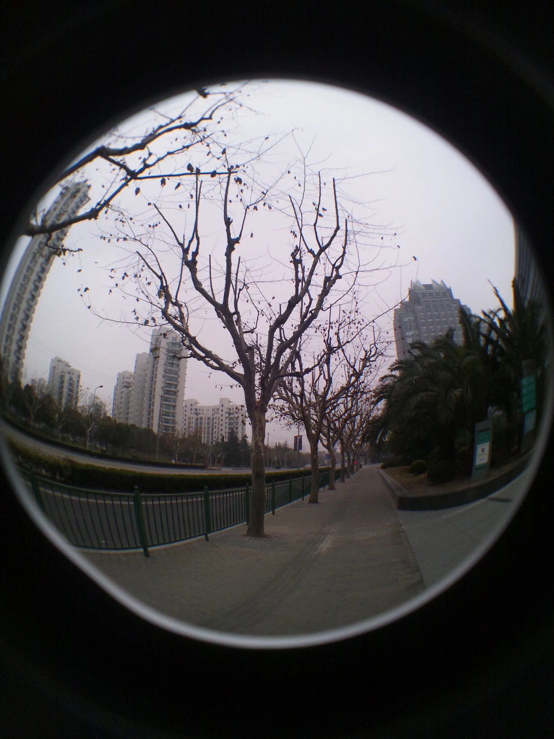 出入国管理局へ向かう