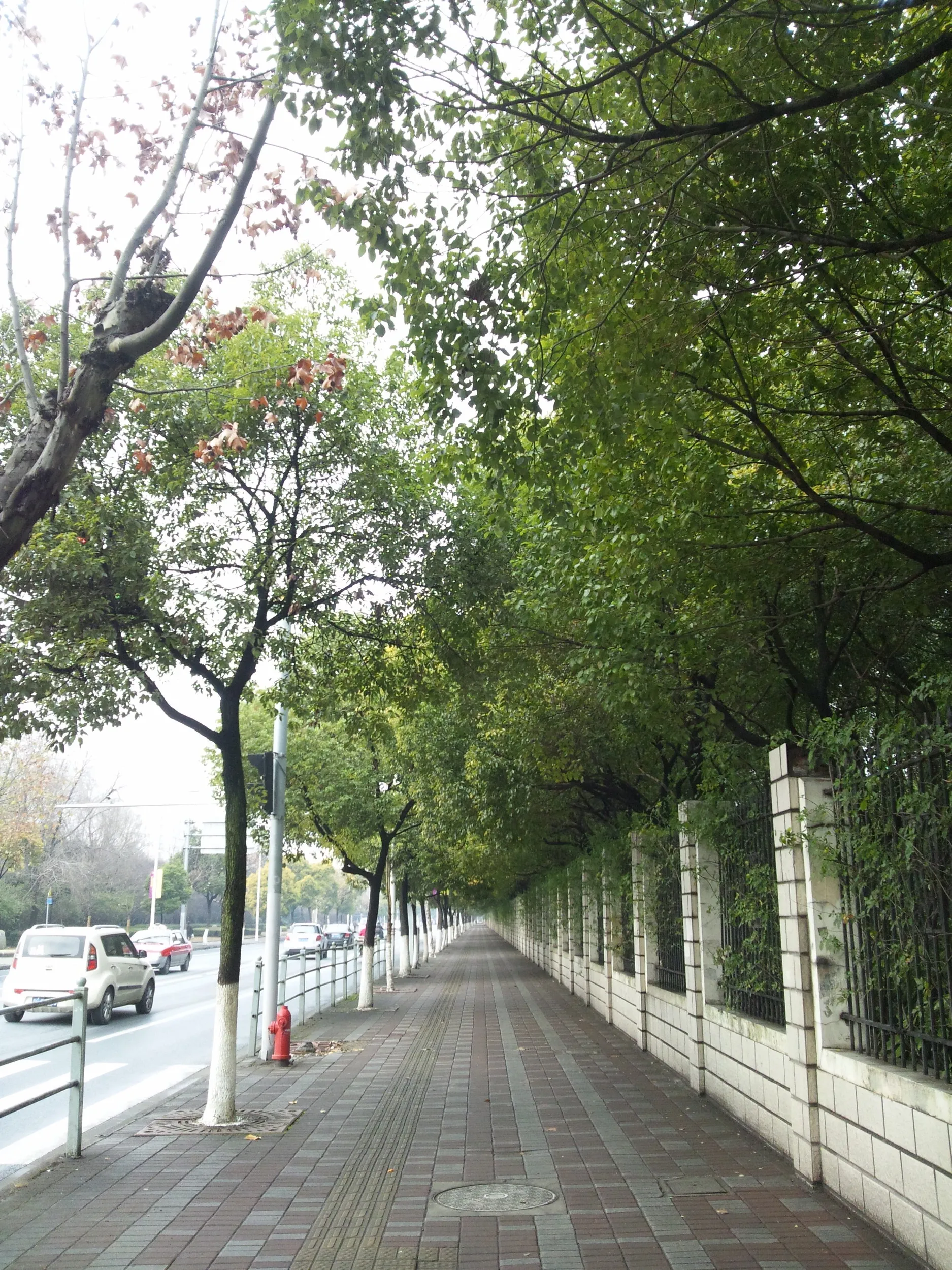 上海大学裏門前の風景