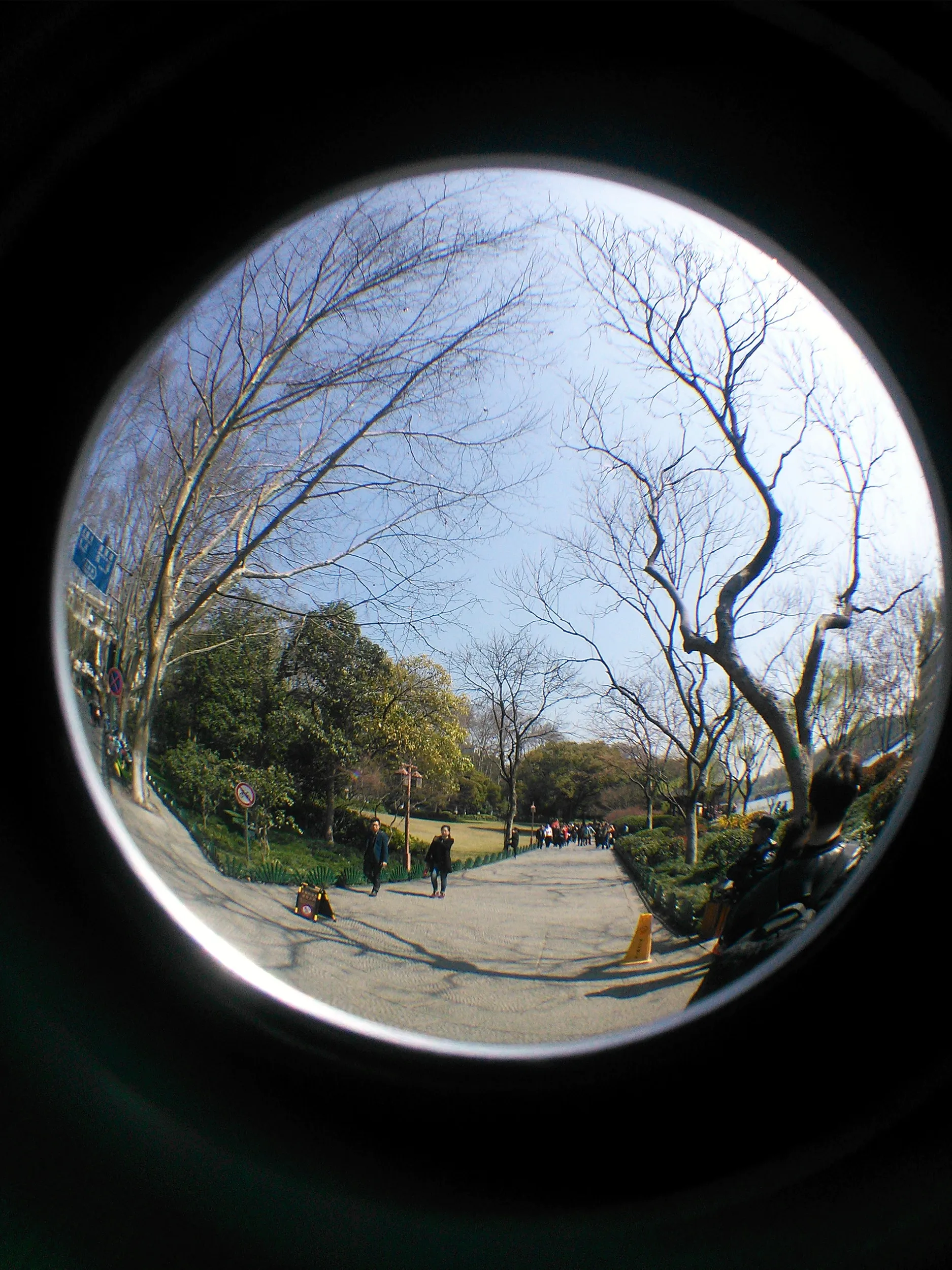 西湖を観光する