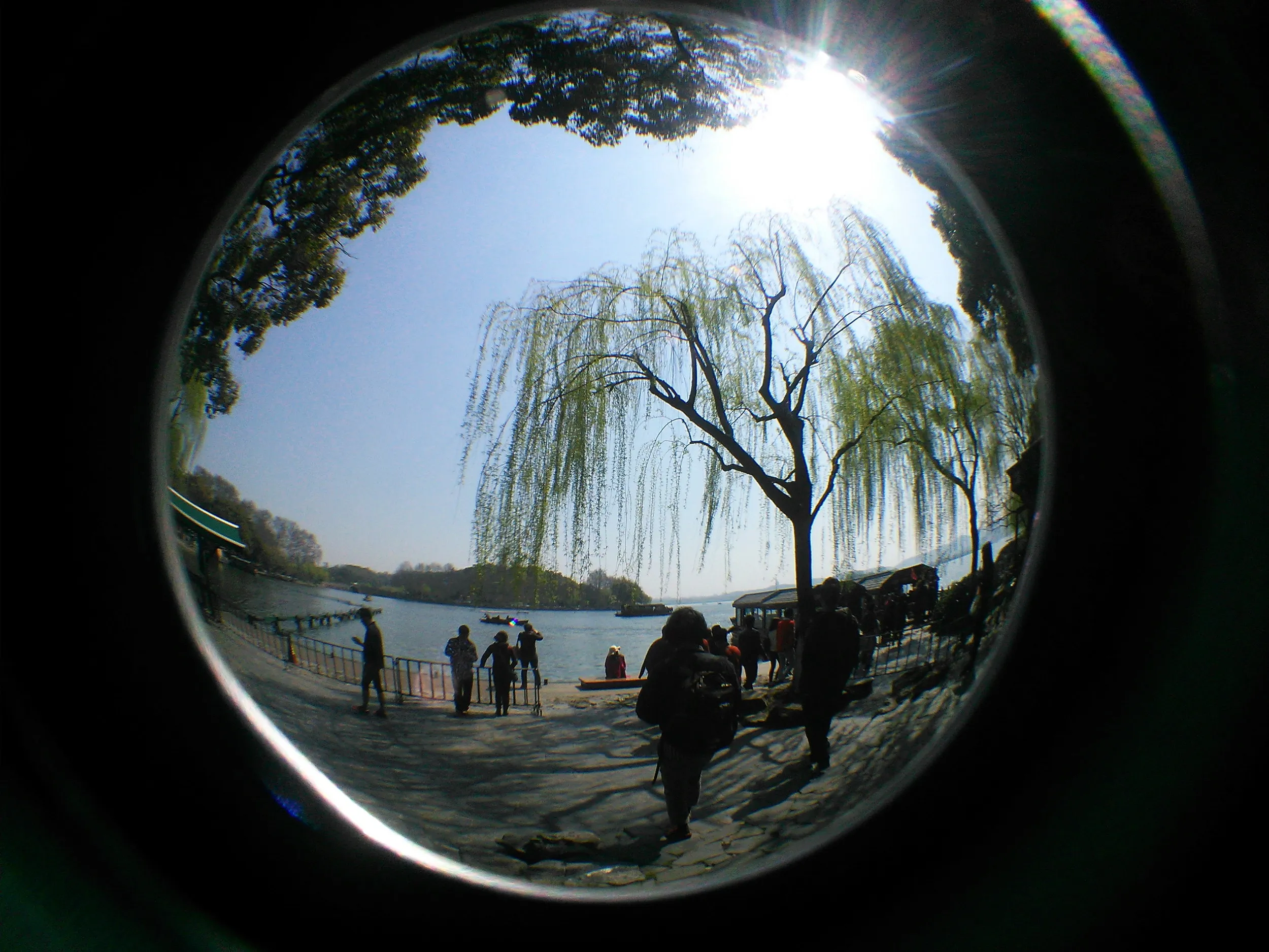 西湖を観光する