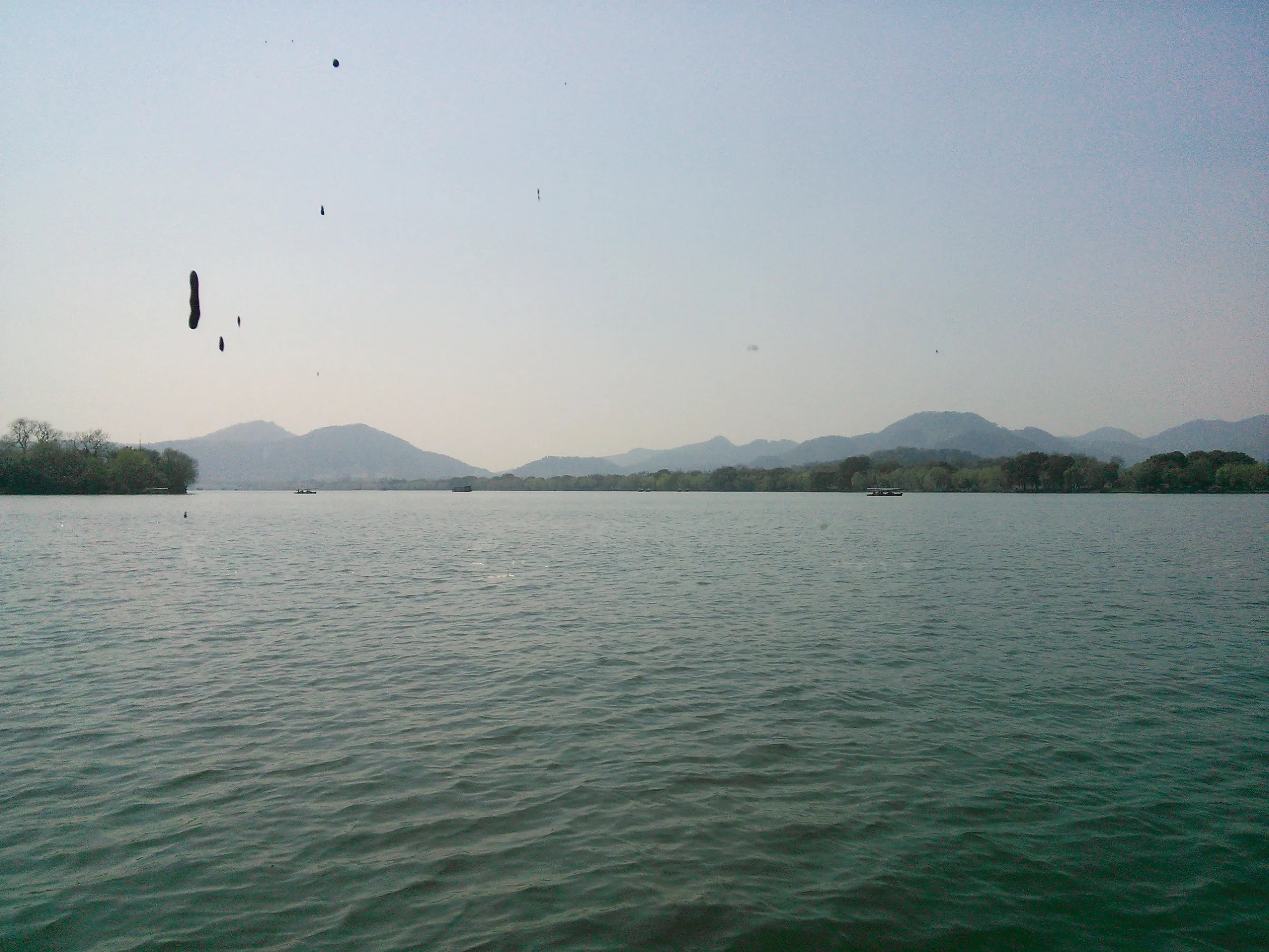 遊覧船からの風景