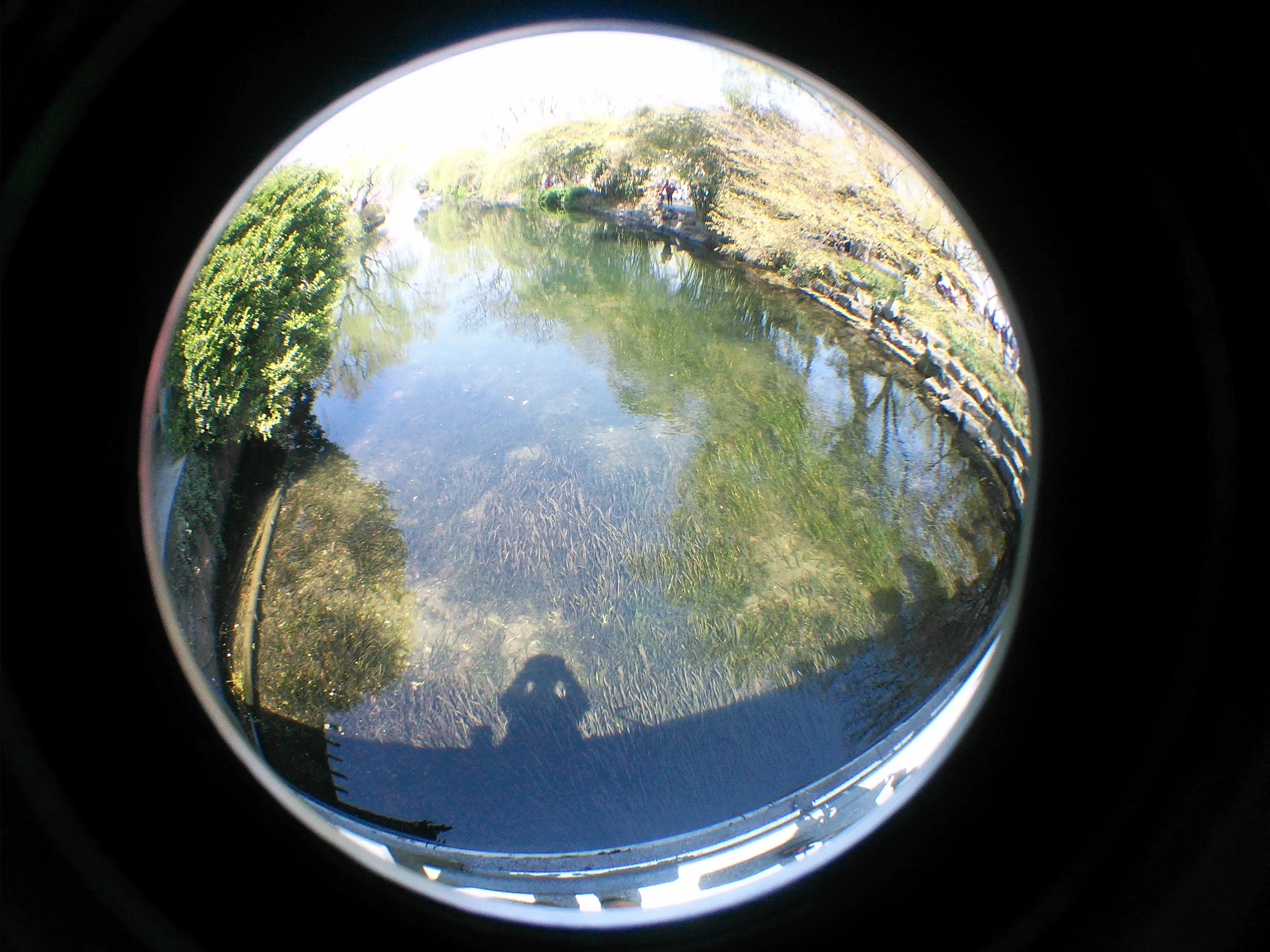 花港観魚の清流