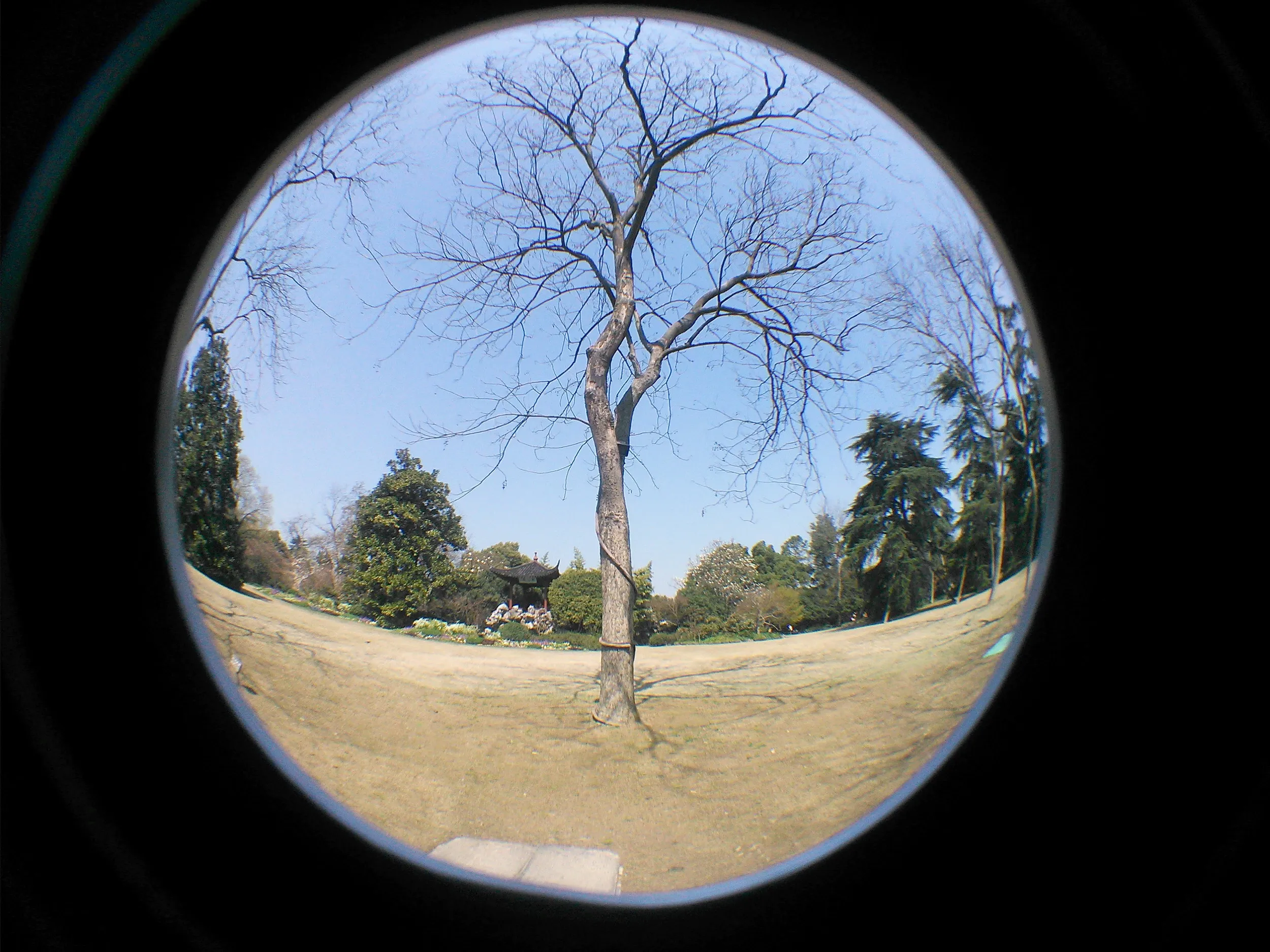 花港観魚の風景