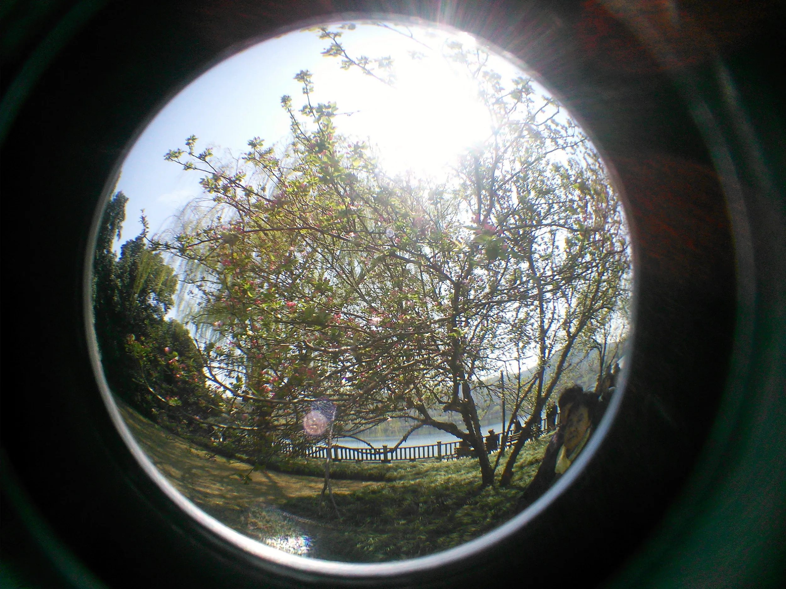 花港観魚の風景