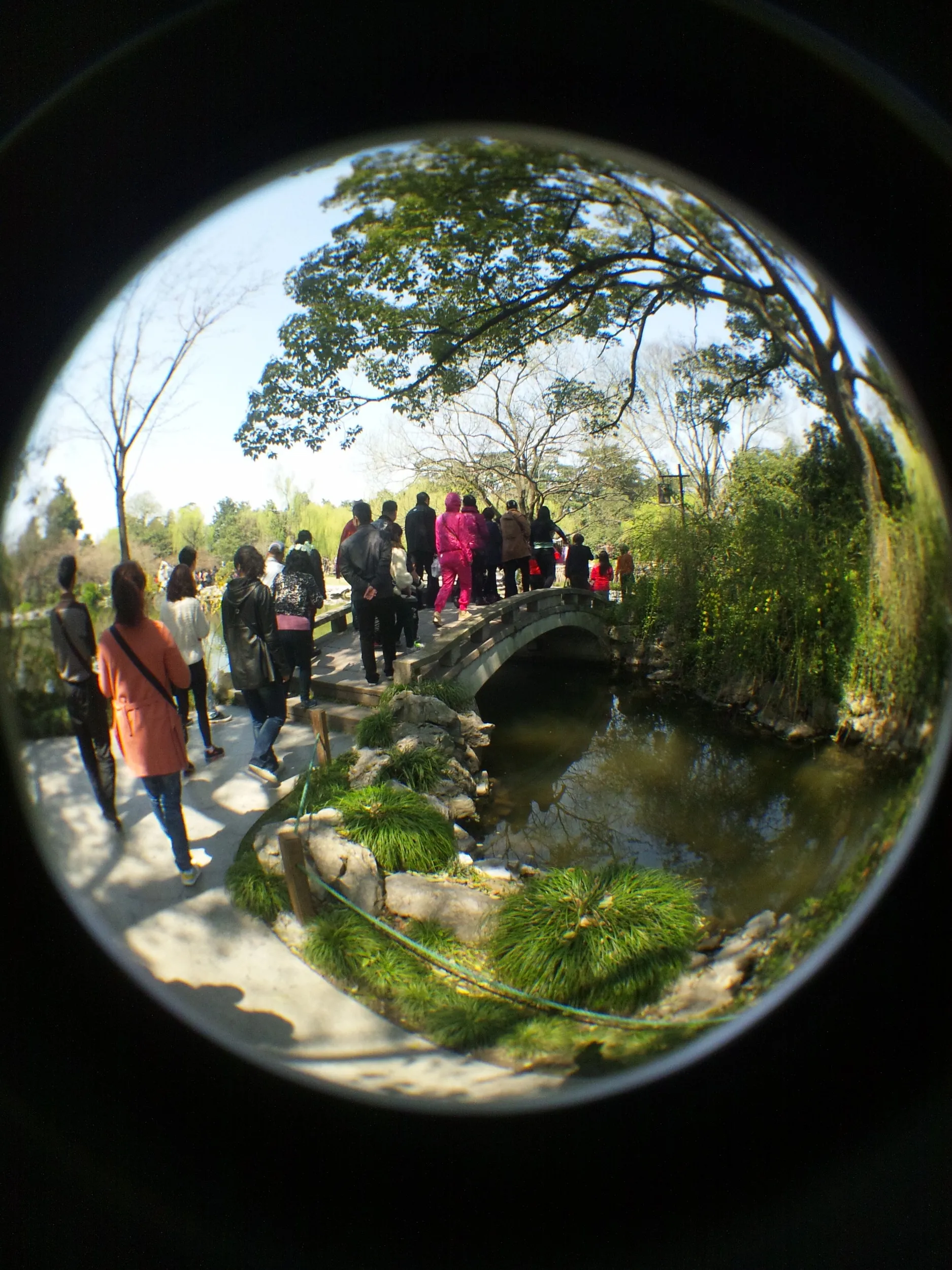 紅魚池に掛かる石橋