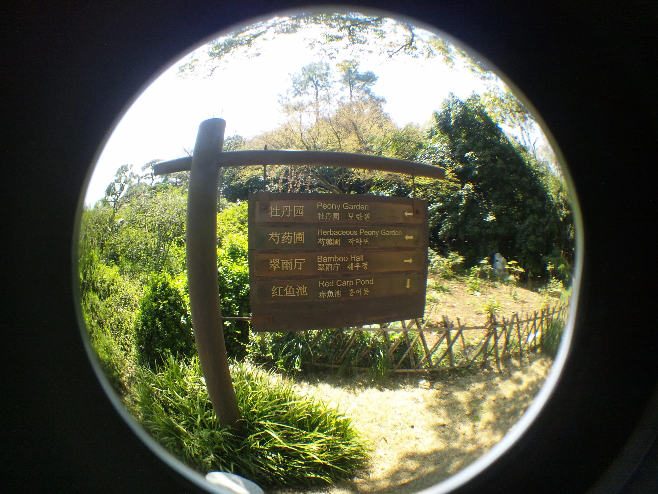 花港公園の風景